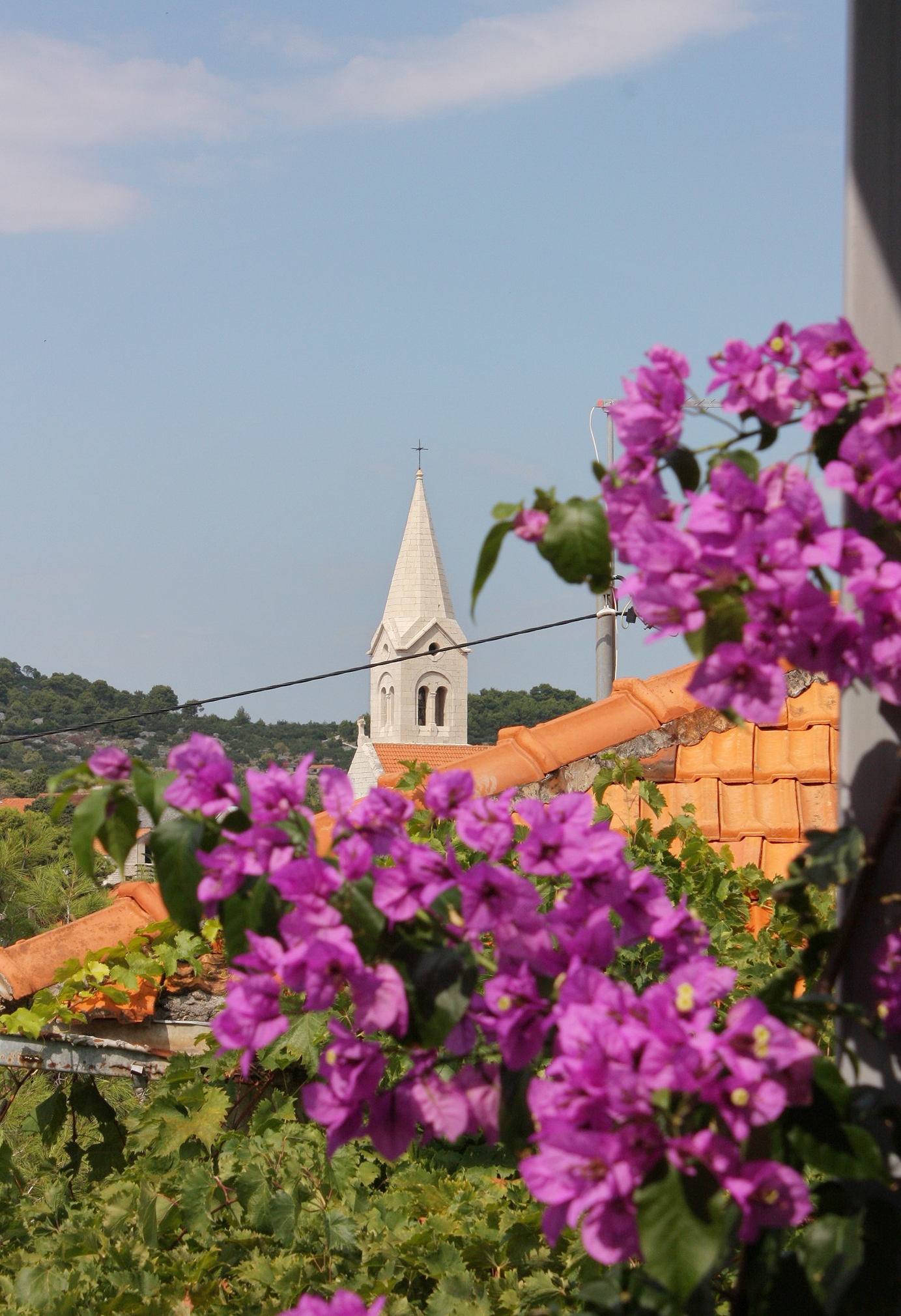 Three bedroom apartment near beach Sumartin, Brač  A-a
