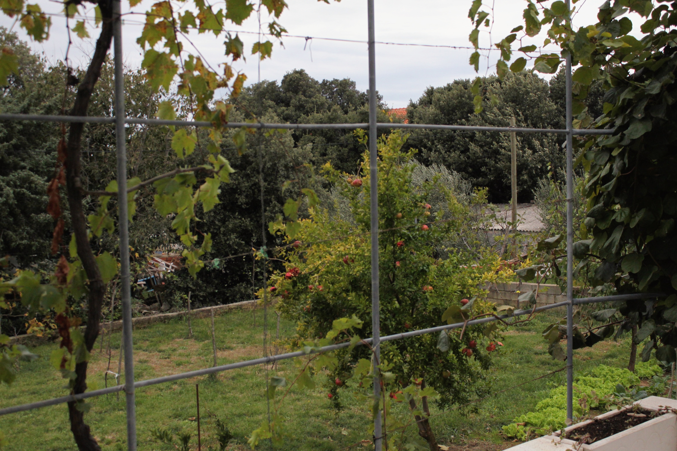 Four bedroom apartment with terrace and sea view Vrsi - Mulo, Zadar  A-a
