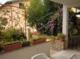 Nin, Terrace - view in the apartment, (pet friendly) and WiFi.