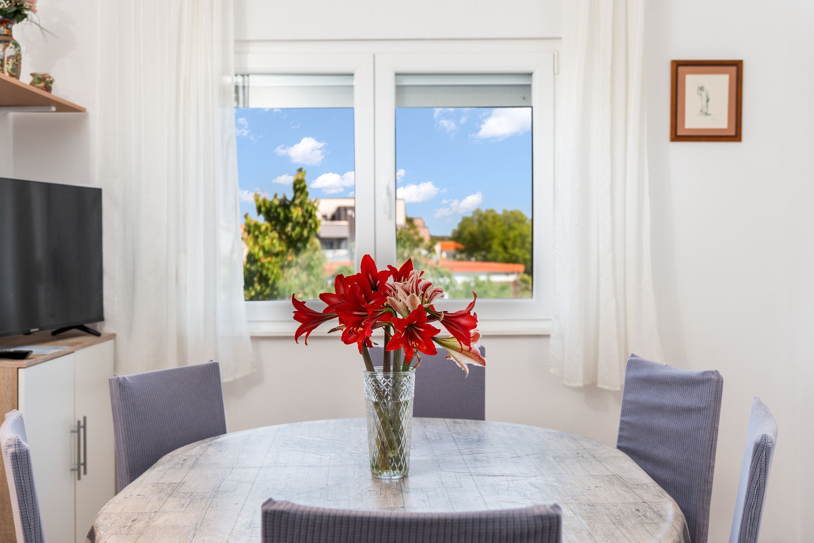 Top Zadar Nin Top Zadar Nin