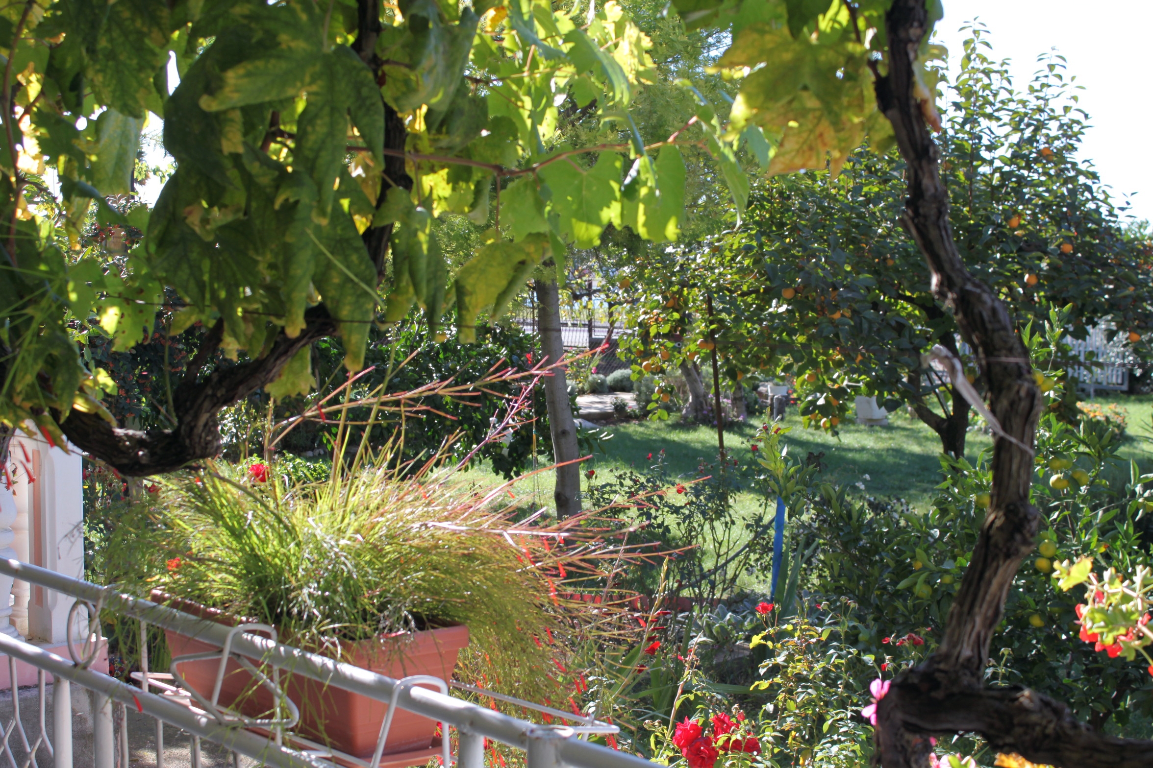 Two bedroom apartment with terrace Sukošan, Zadar  A-b