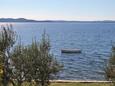 Kožino, Terrace - view in the apartment, (pet friendly) and WiFi.