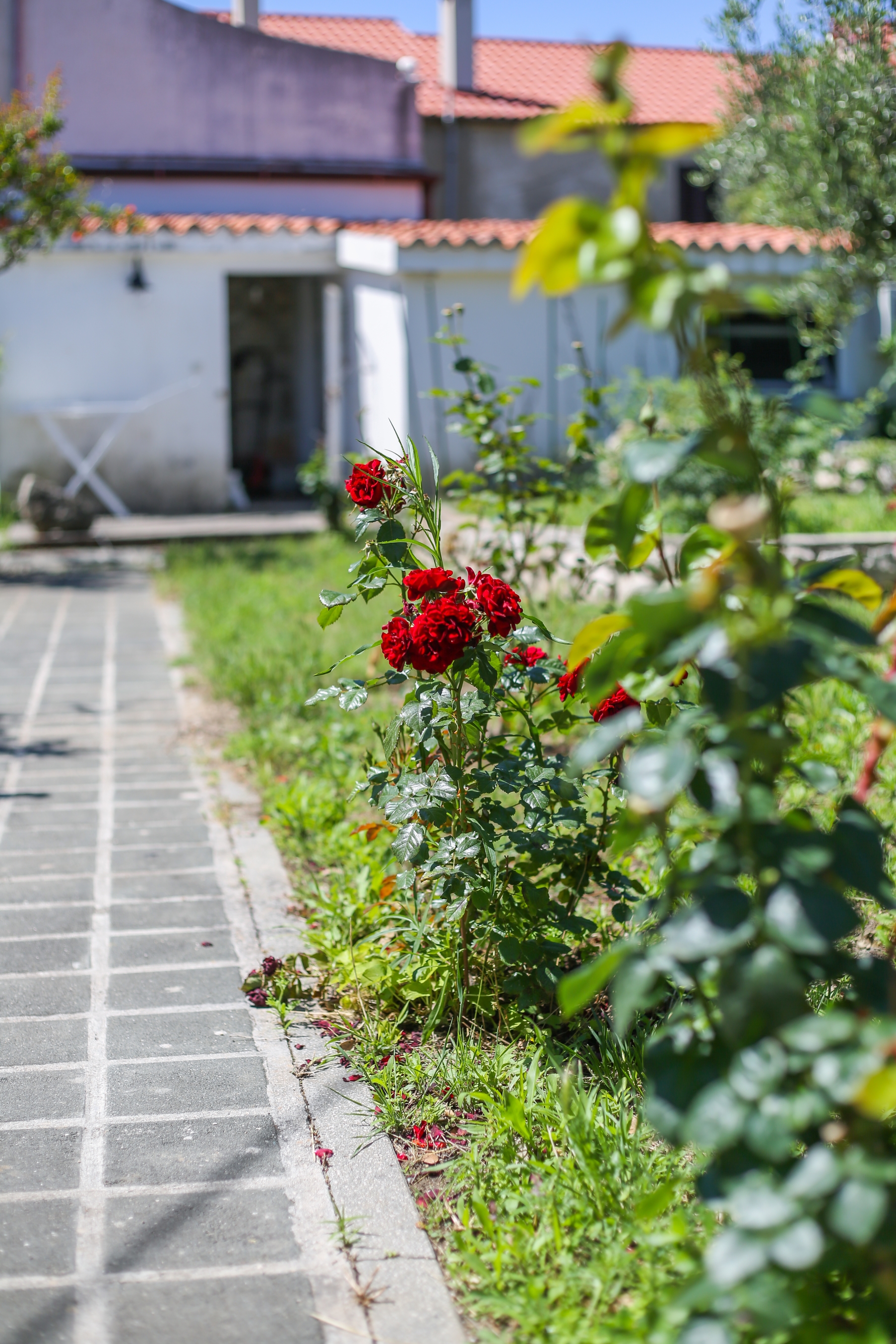 Jednosobni apartman s terasom i pogledom na more Nin, Zadar  A-b