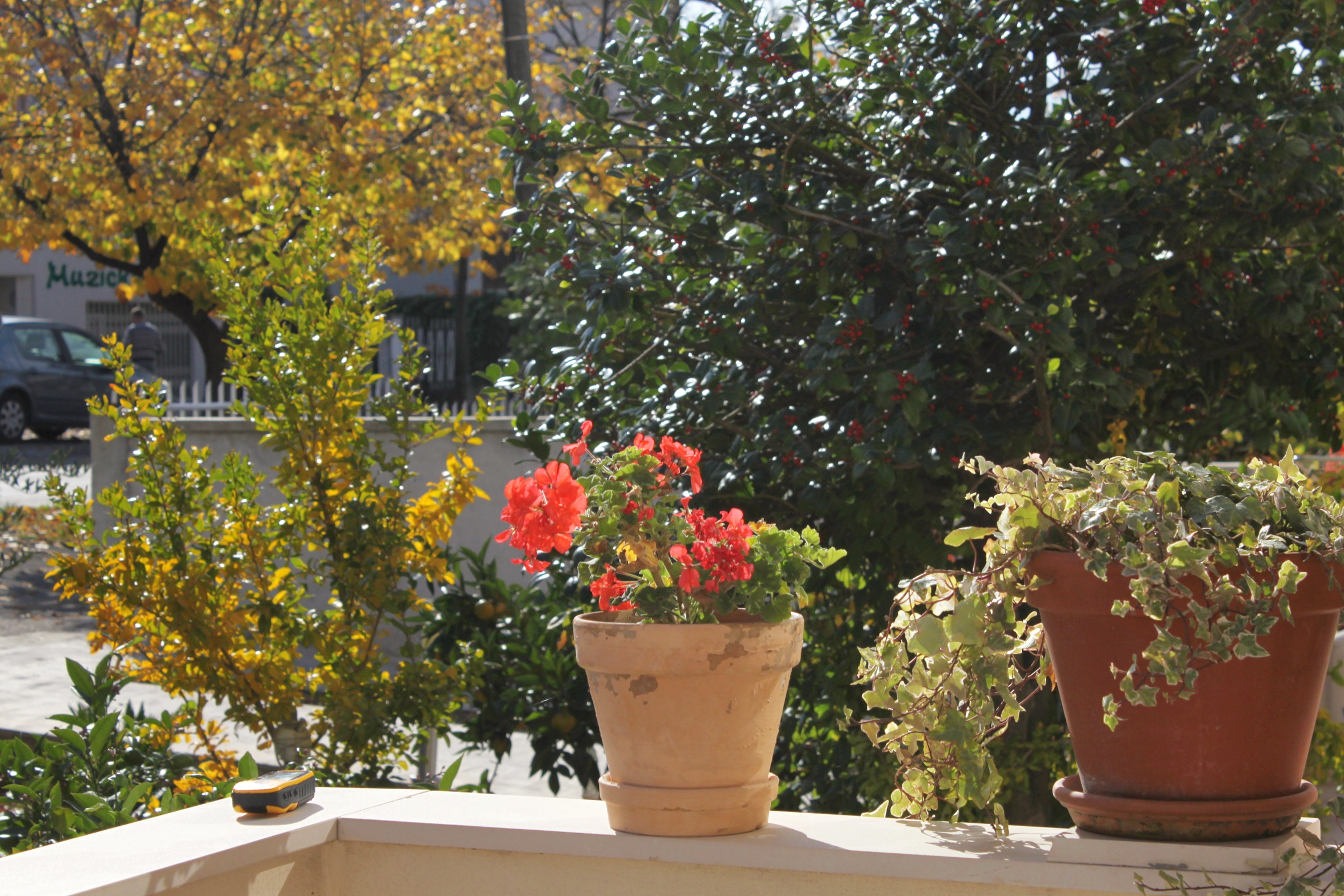 Two bedroom apartment with terrace Zadar  A-a