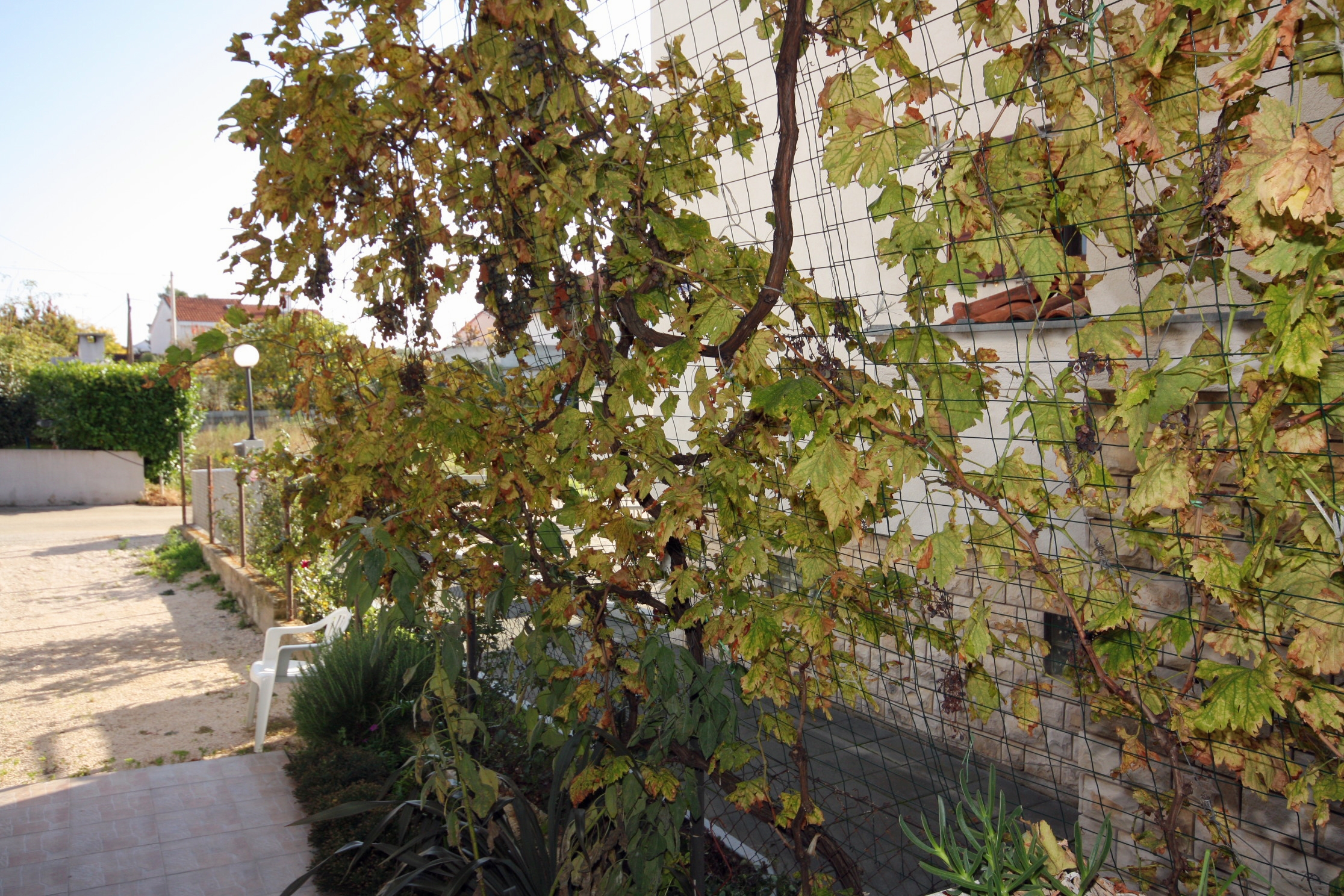 Top Zadar Zadar - Diklo Top Zadar Zadar - Diklo