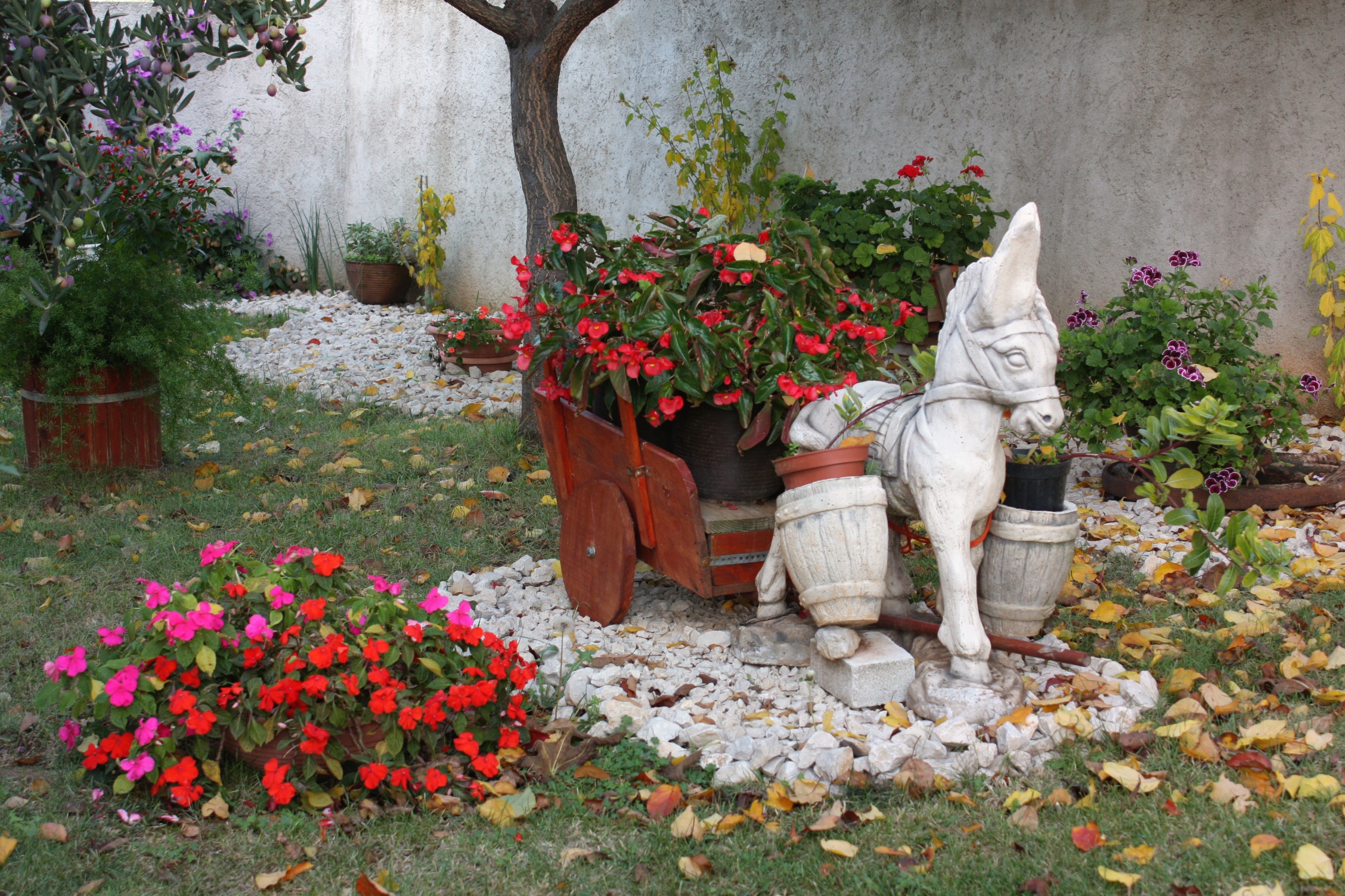 Top Zadar Zadar - Diklo Top Zadar Zadar - Diklo