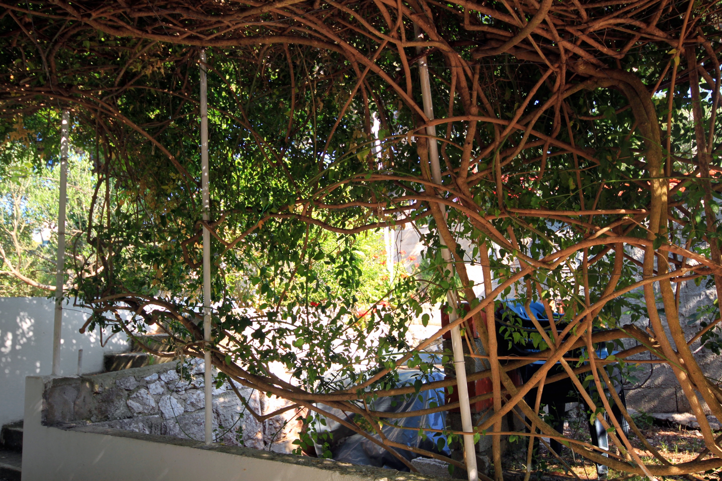 Studio S teraso in pogledom na morje Hvar  AS-a