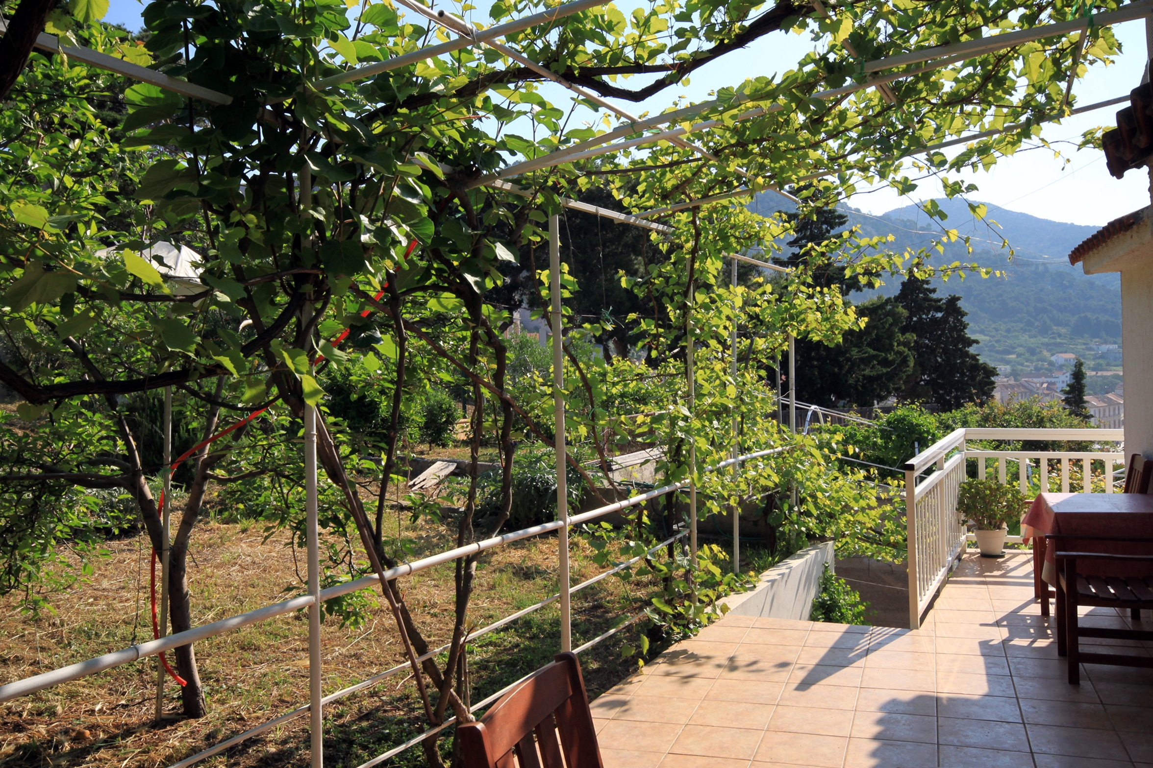 Studio flat with terrace and sea view Hvar  AS-b