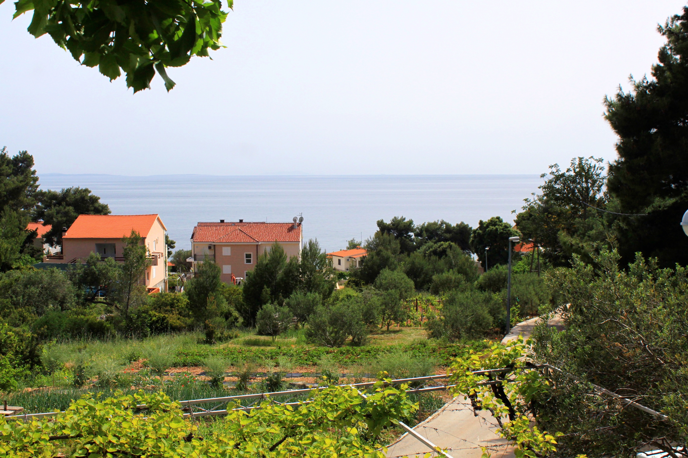 One bedroom apartment with terrace and sea view Ivan Dolac, Hvar  A-c