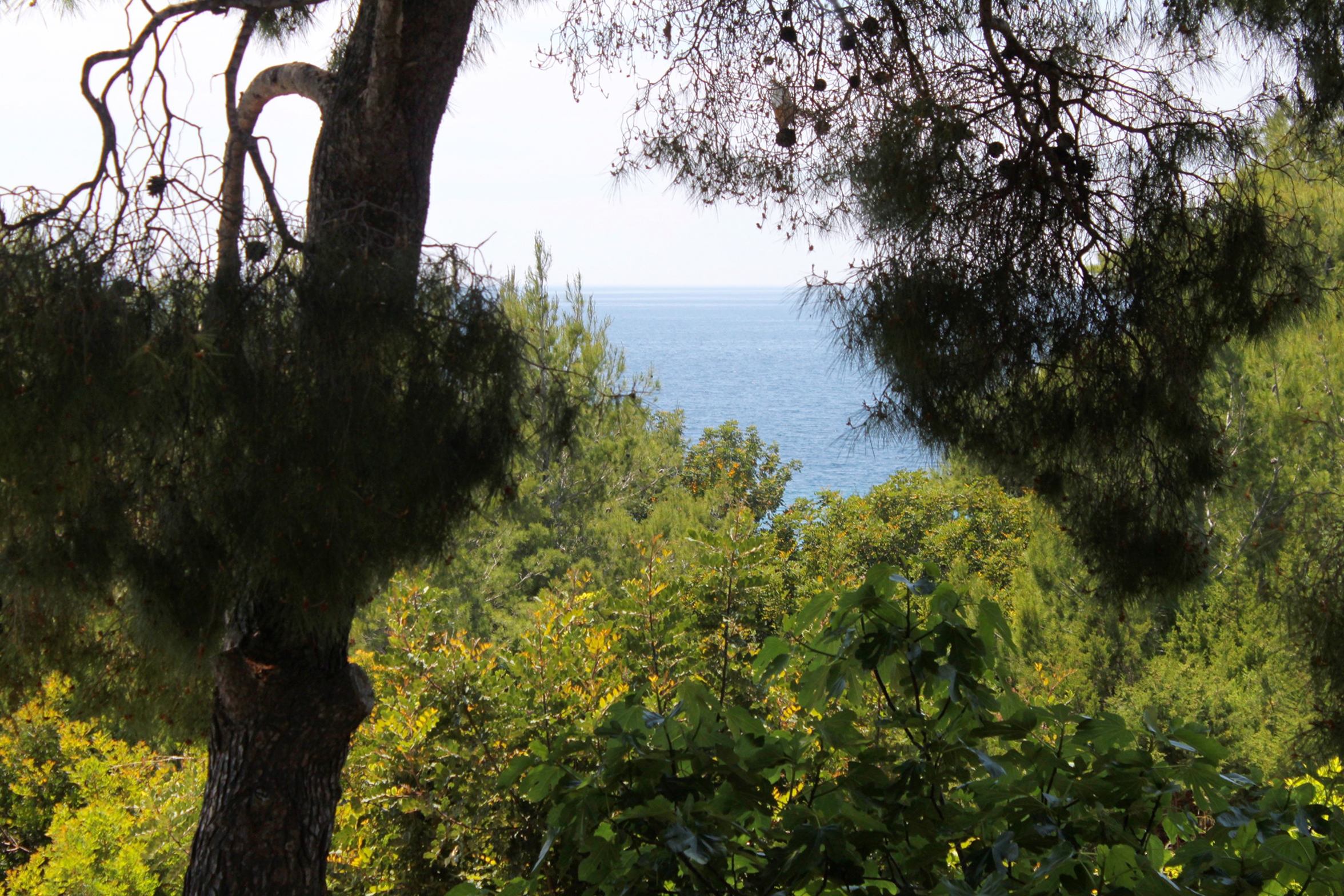 Two bedroom apartment with terrace and sea view Zavala, Hvar  A-a