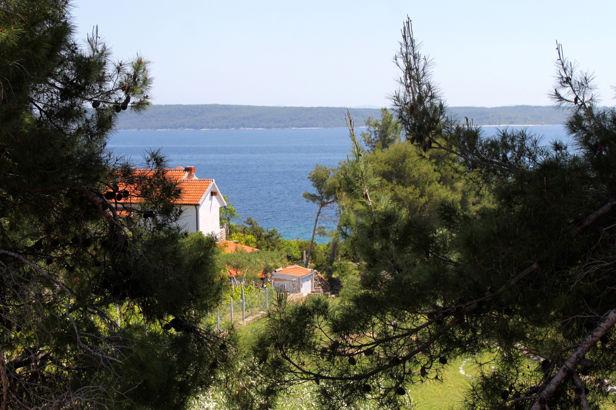 Two bedroom apartment with terrace and sea view Zavala, Hvar  A-b