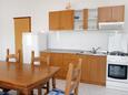 Ražanj, Kitchen in the apartment, (pet friendly) and WiFi.