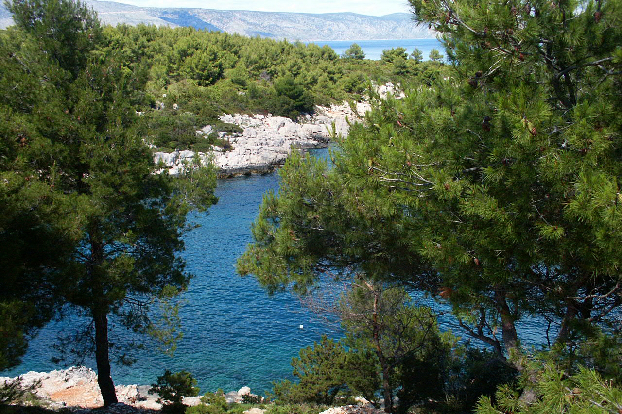 Two bedroom apartment near beach Mudri Dolac, Hvar  A-b