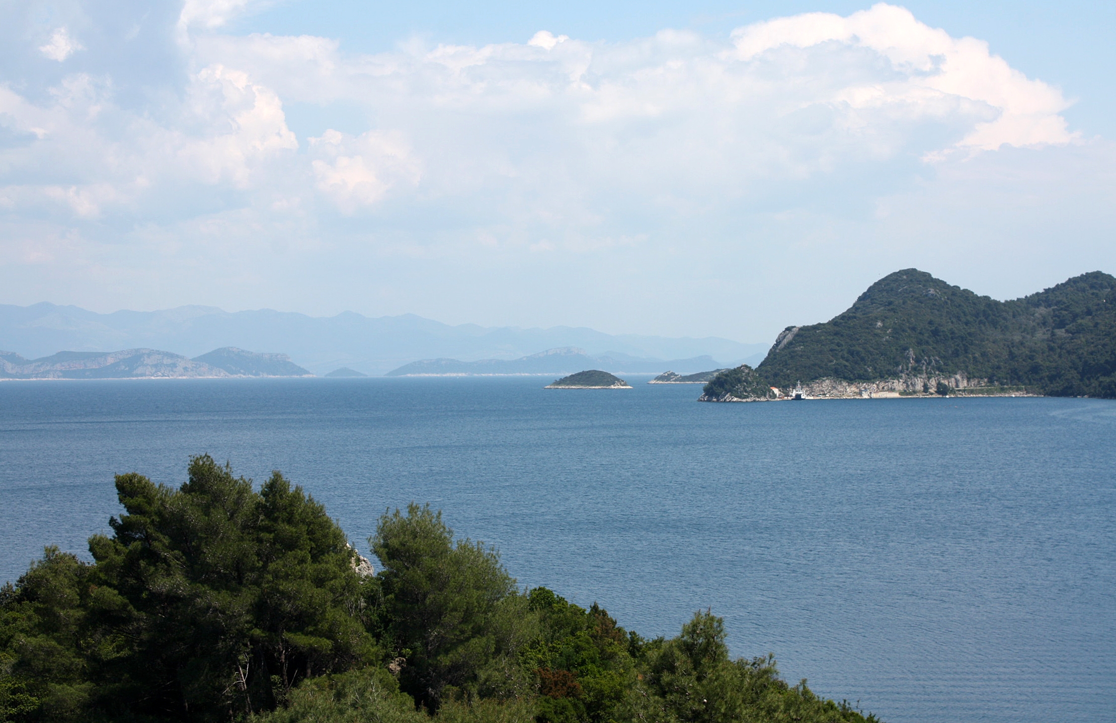 One bedroom apartment with balcony and sea view Sobra, Mljet  A-a