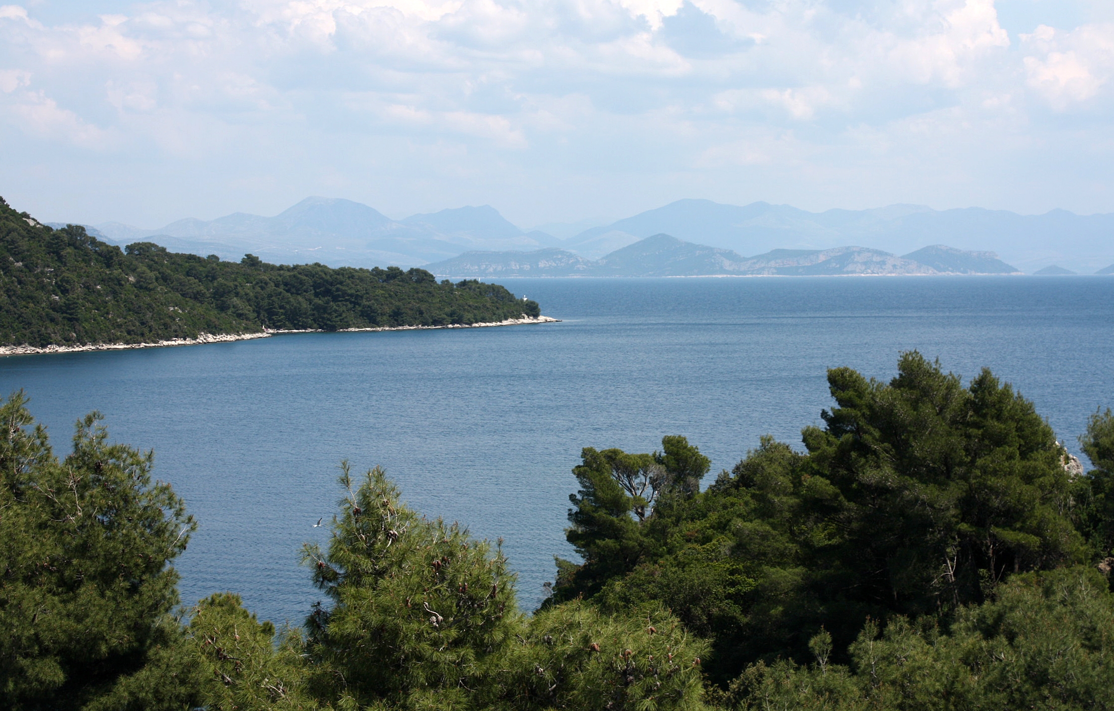 One bedroom apartment with balcony and sea view Sobra, Mljet  A-a