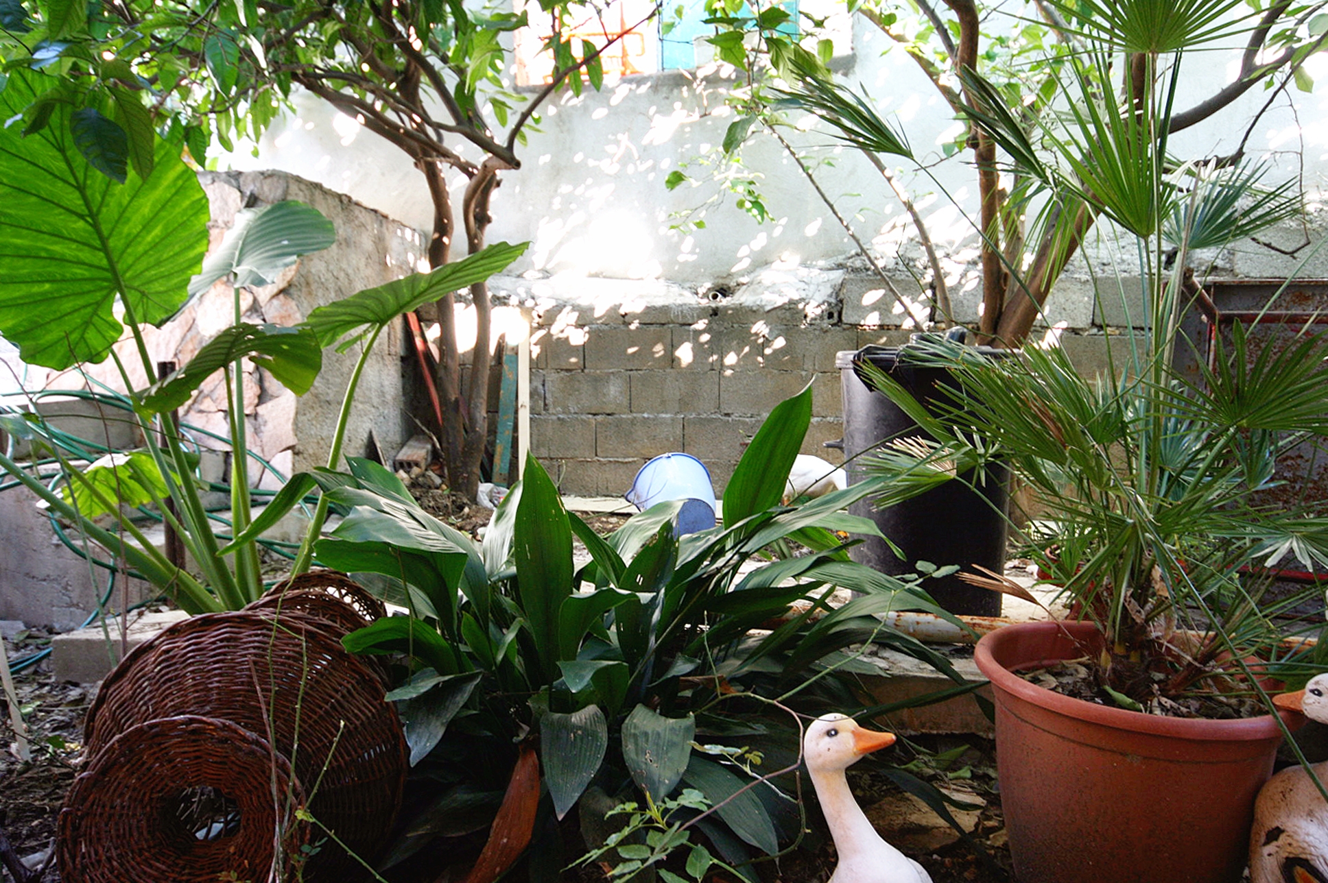 Two bedroom apartment near beach Drašnice, Makarska (A-6051-b)