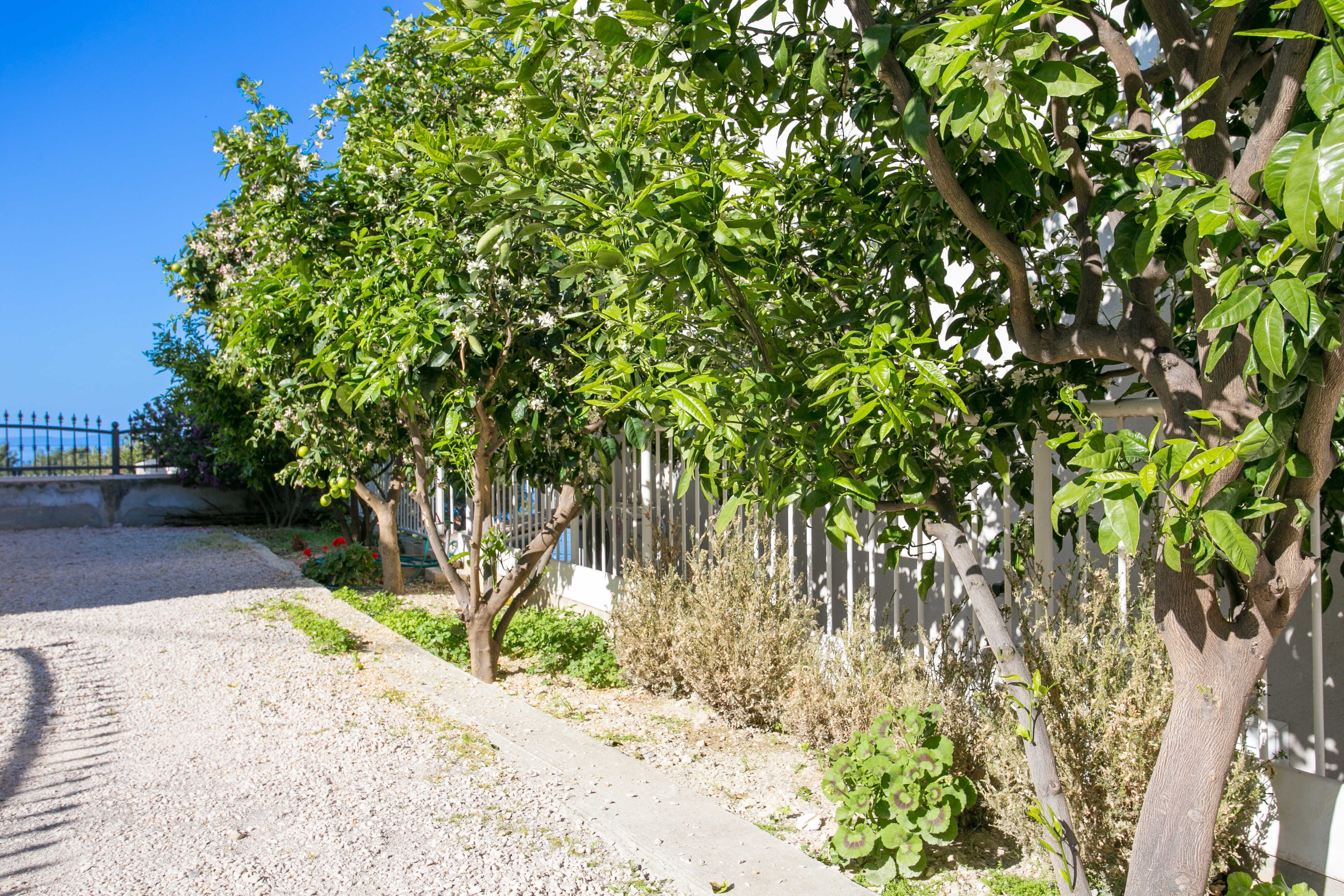 Jednosobni apartman s terasom i pogledom na more Podstrana, Split  A-b