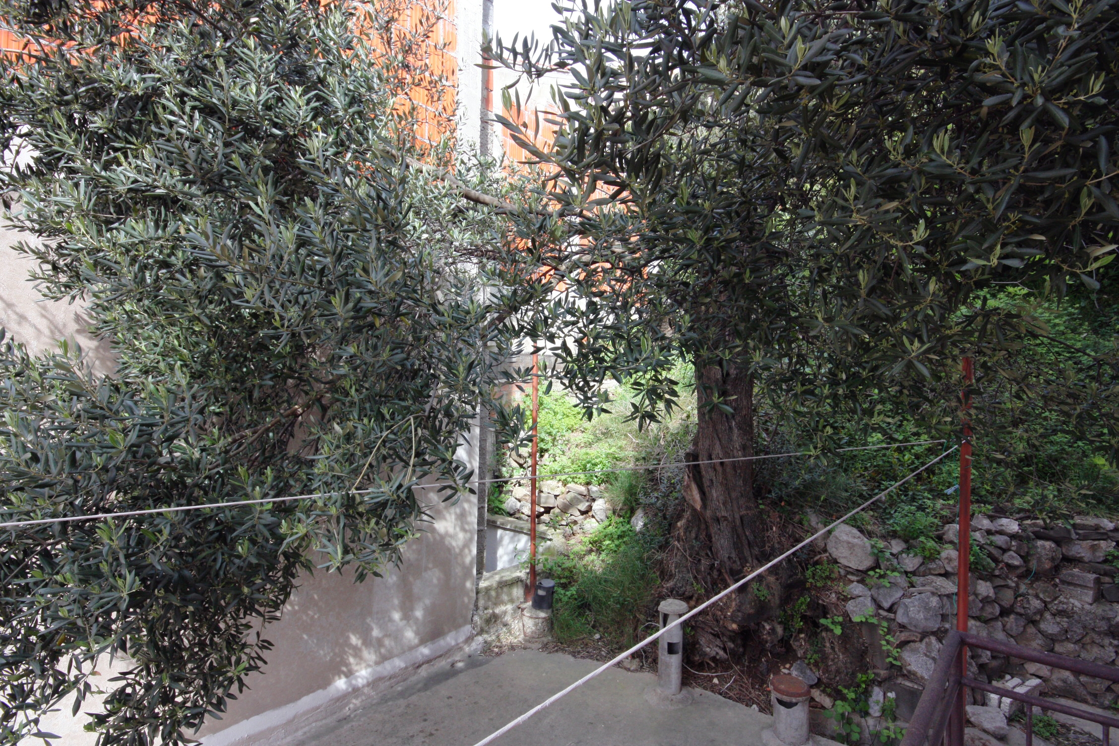 Two bedroom apartment with balcony and sea view Podgora, Makarska  A-b
