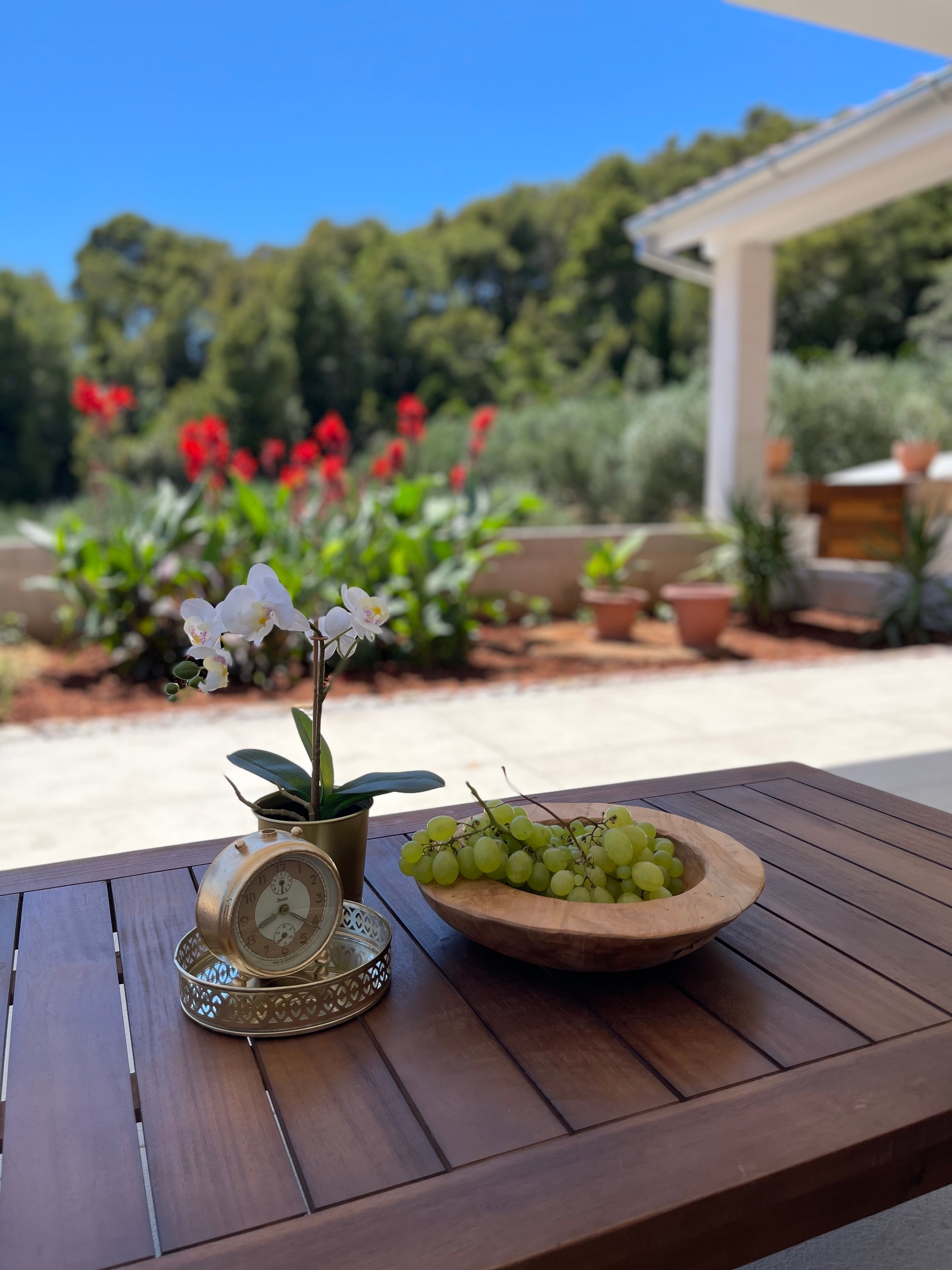 Four bedroom apartment with terrace and sea view Cove Tvrdni Dolac, Hvar  A-a