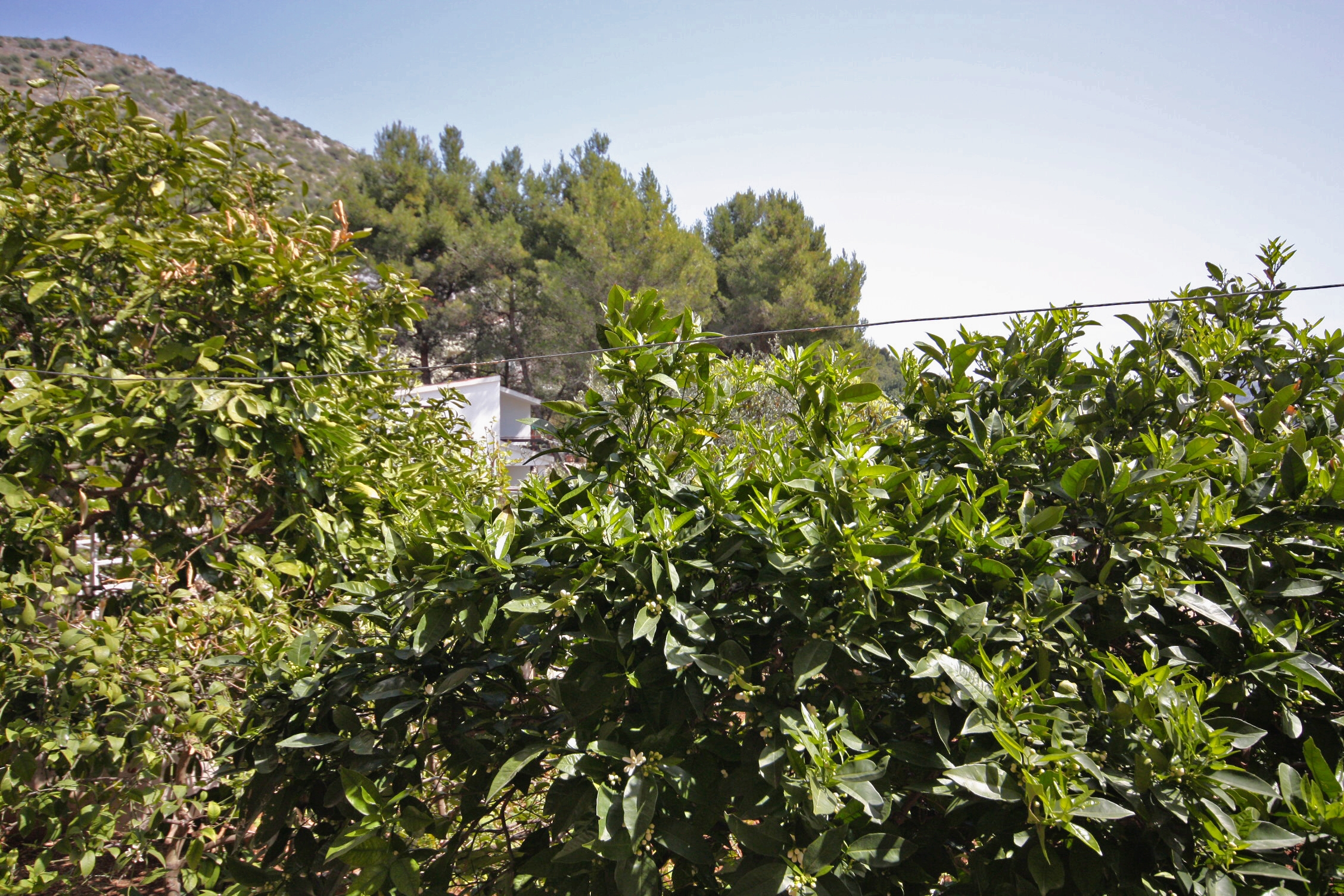 One bedroom apartment with terrace Marina, Trogir  A-b