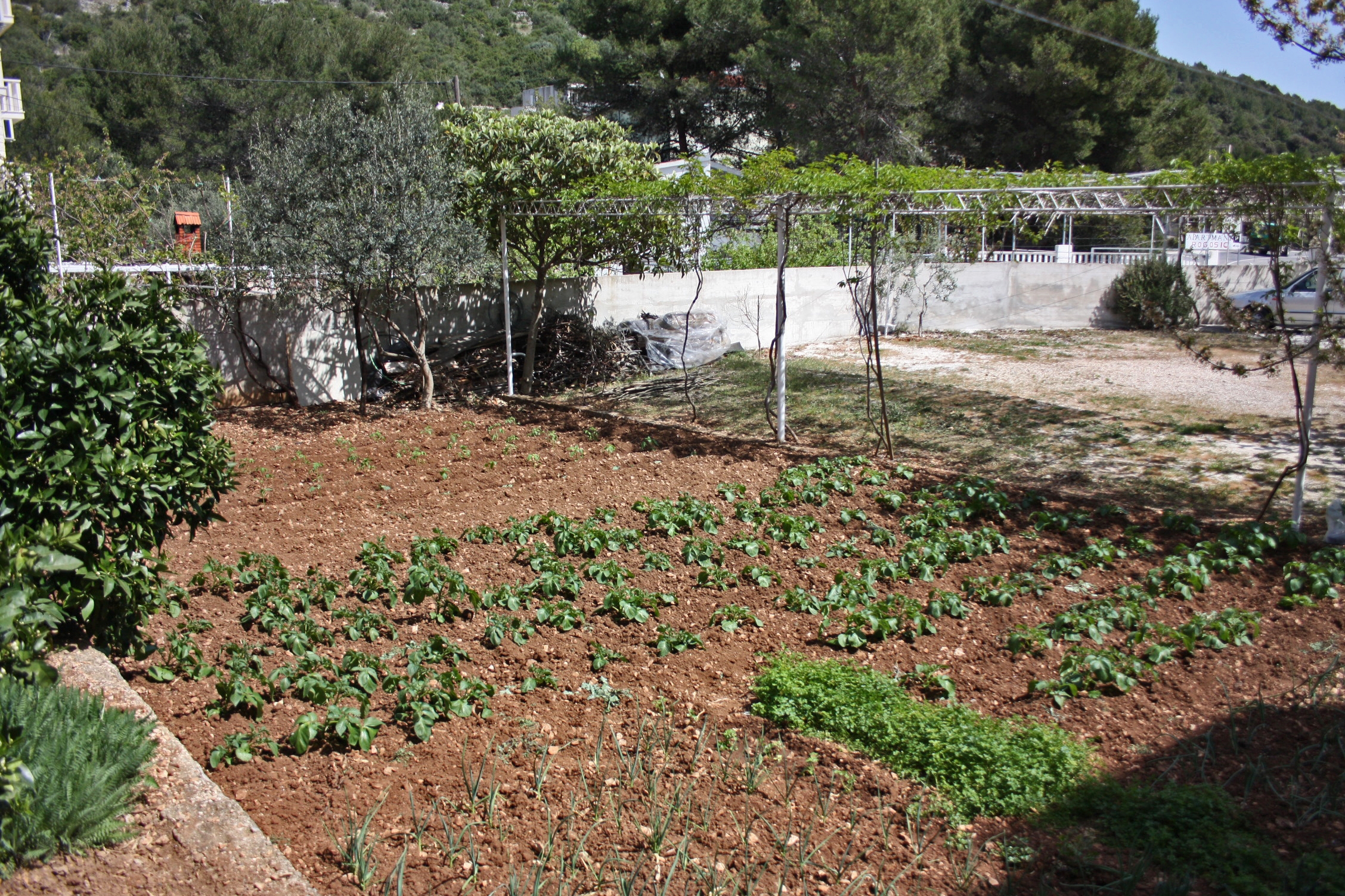 Two bedroom apartment with balcony and sea view Marina, Trogir  A-d