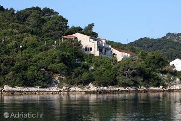 Polače, Mljet, Objekt 613 - Apartmani blizu mora sa šljunčanom plažom.