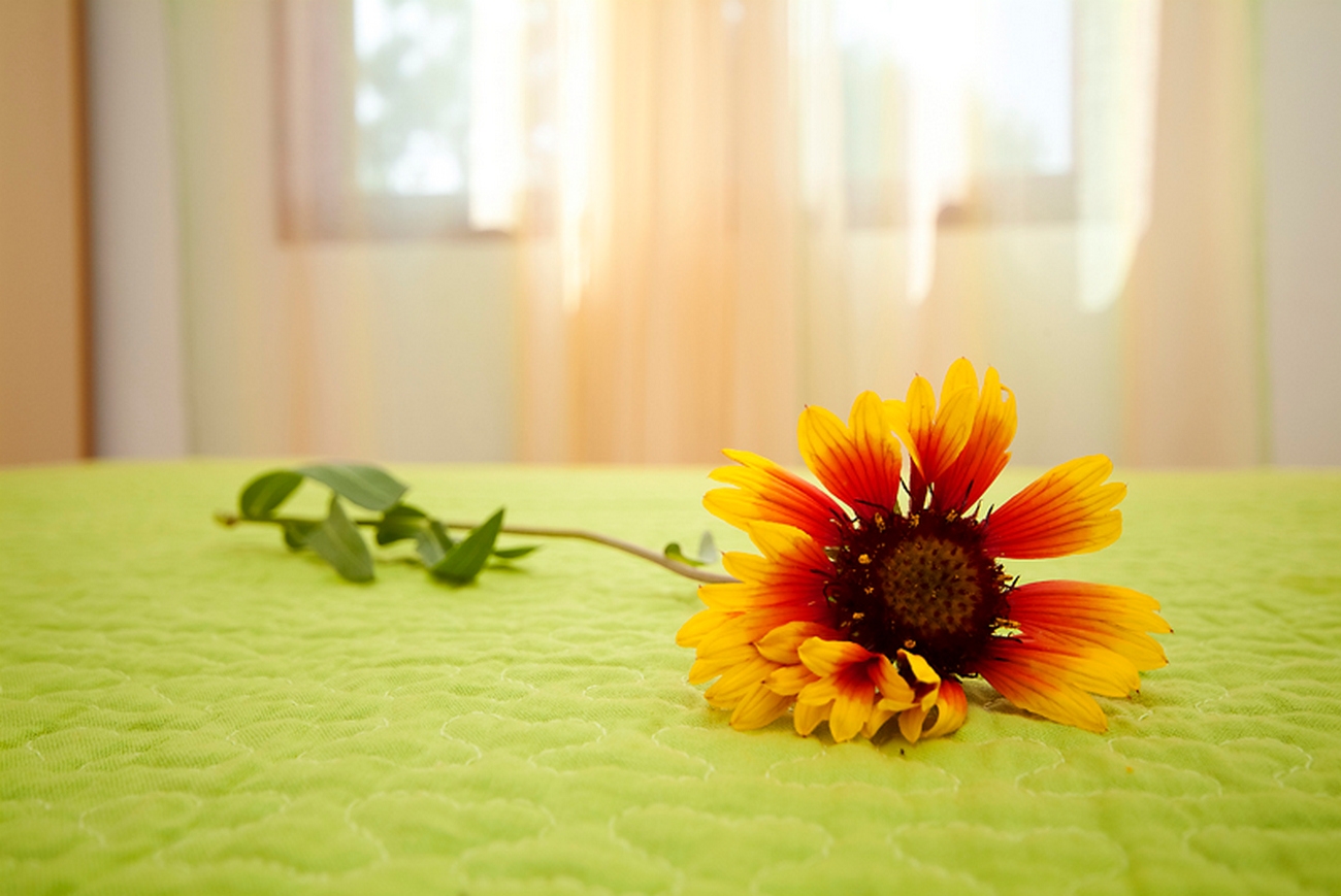 Top Zadar Nin Top Zadar Nin