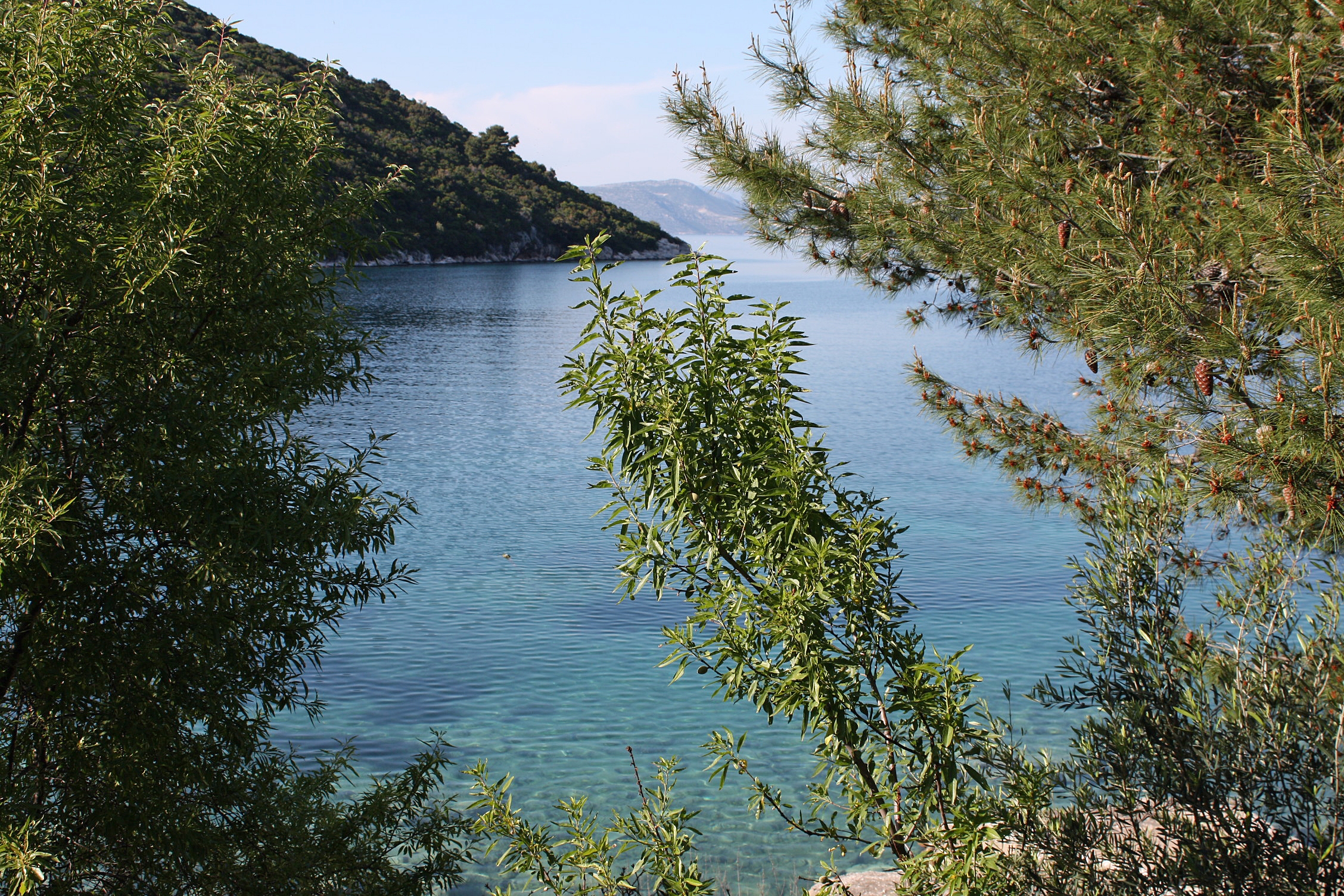 Ferienwohnung im Ort Pro?urska Luka (Mljet), Kapaz Ferienwohnung  Insel Mljet