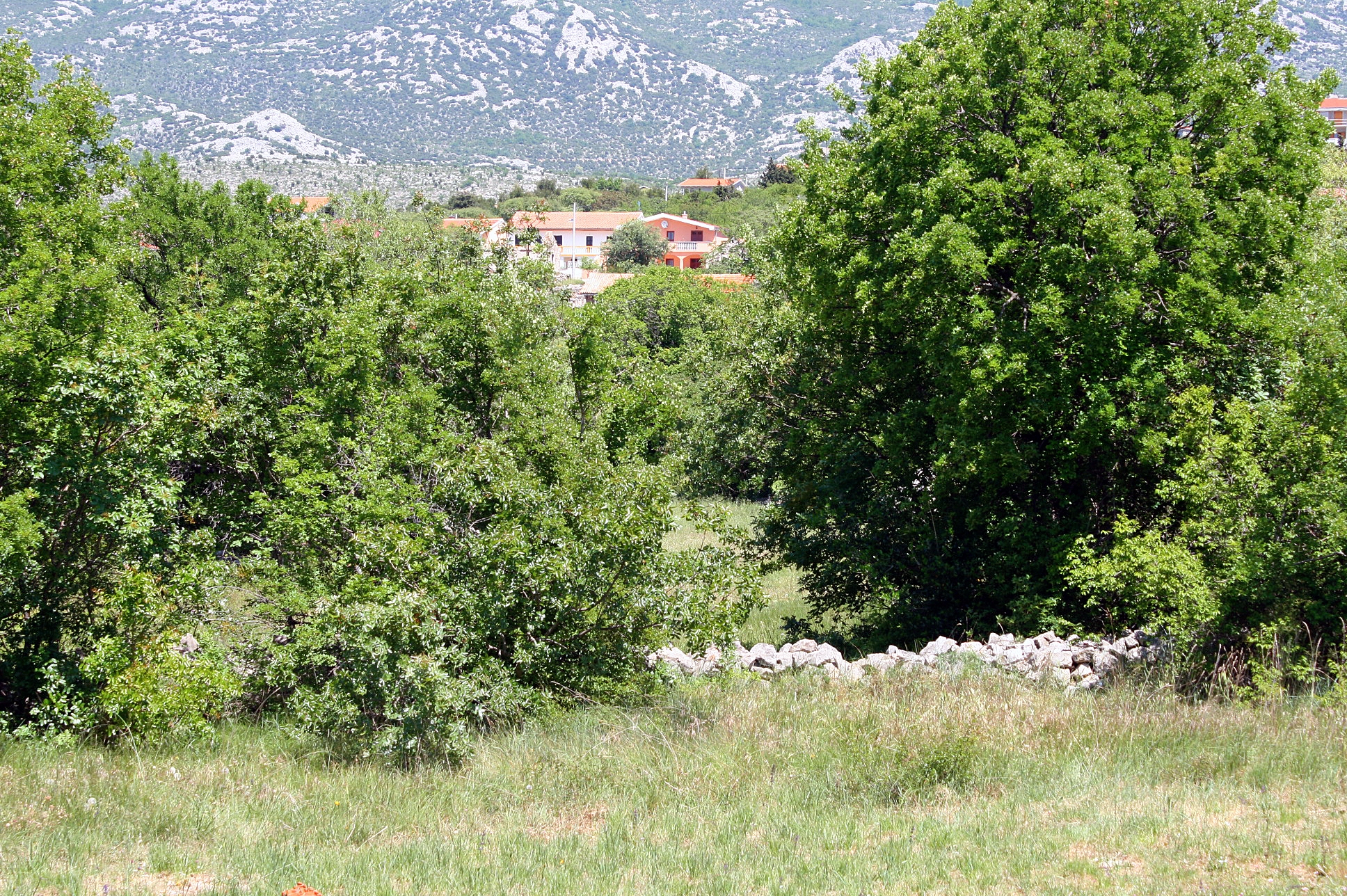 One bedroom apartment with terrace Rovanjska, Paklenica  A-b