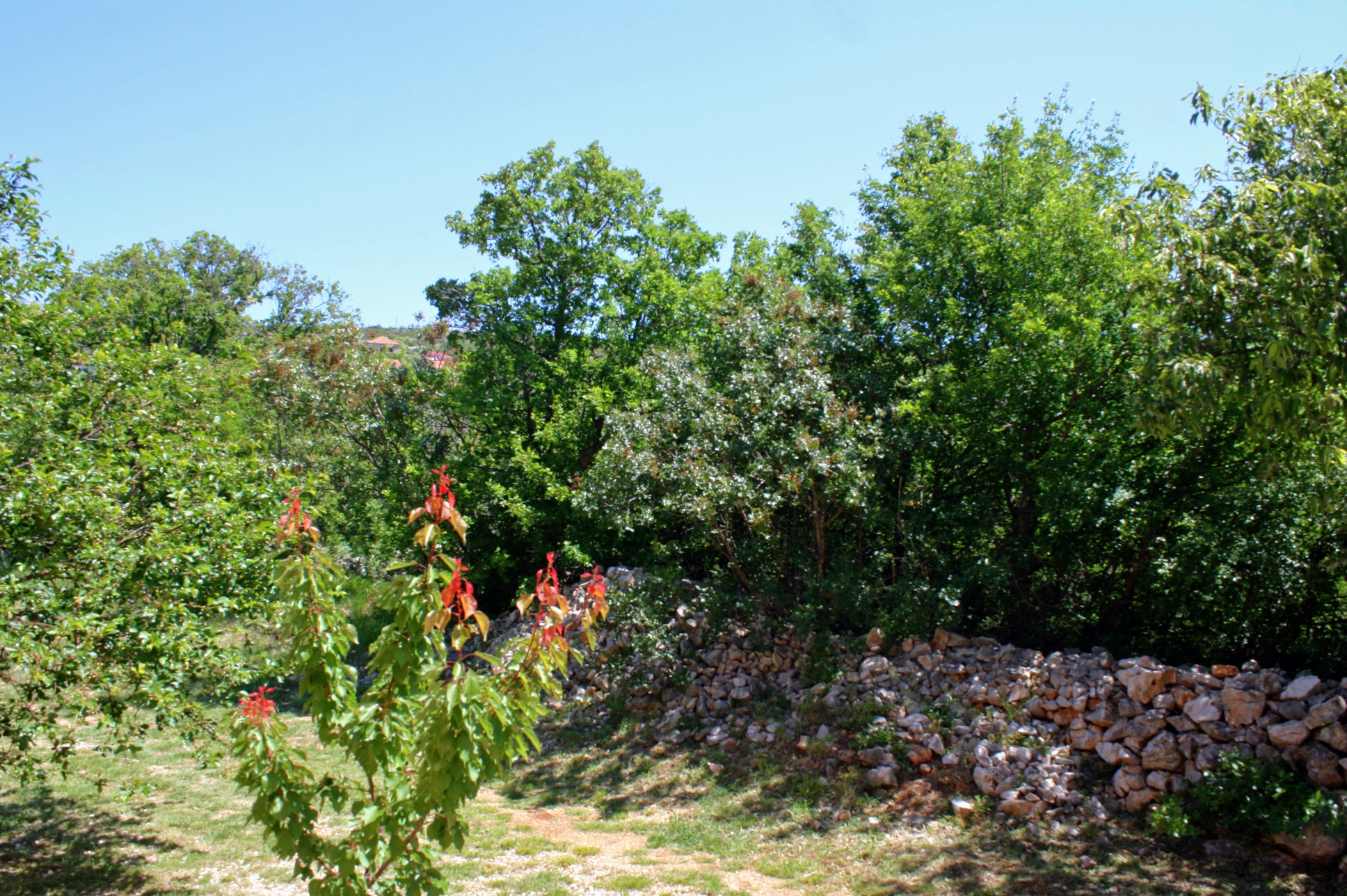 Studio flat with terrace Rovanjska, Paklenica  AS-a