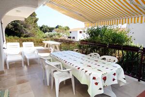 Apartments by the sea Brgulje, Molat - 6241