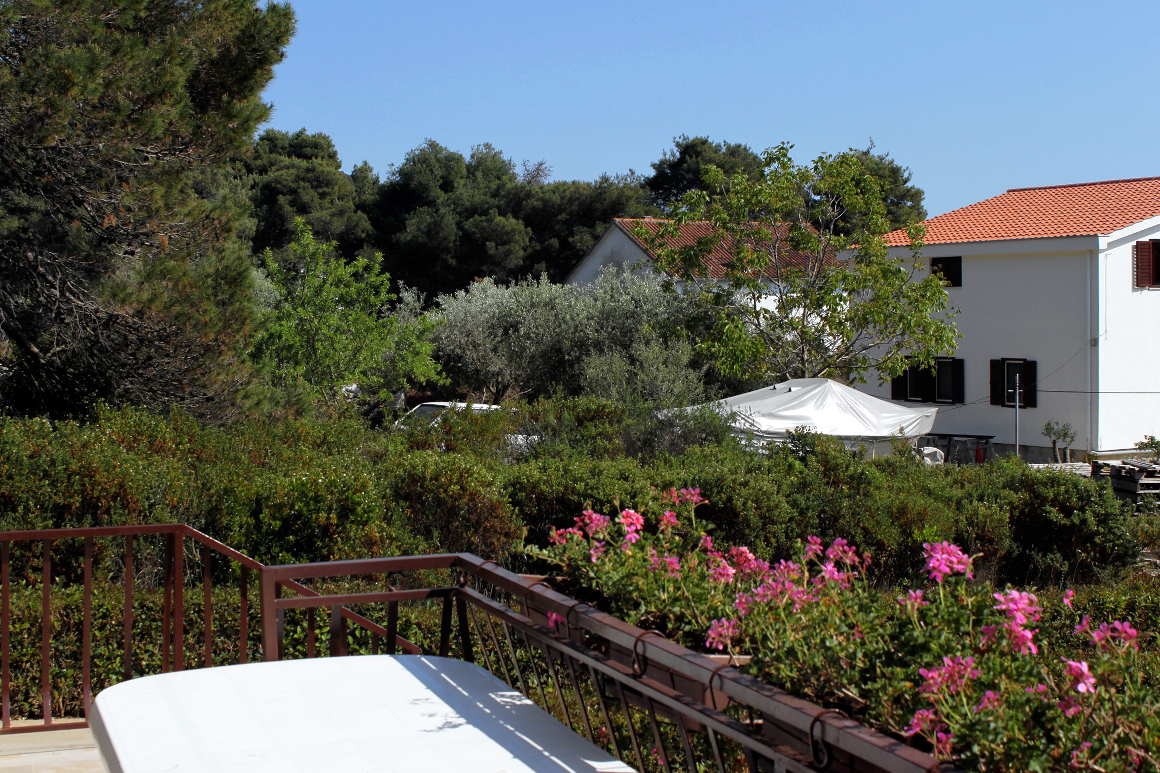 Top Molat Brgulje Top Molat Brgulje