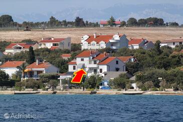 Property Petrčane, Zadar, Property 6259 - Apartments and Rooms near sea with pebble beach.