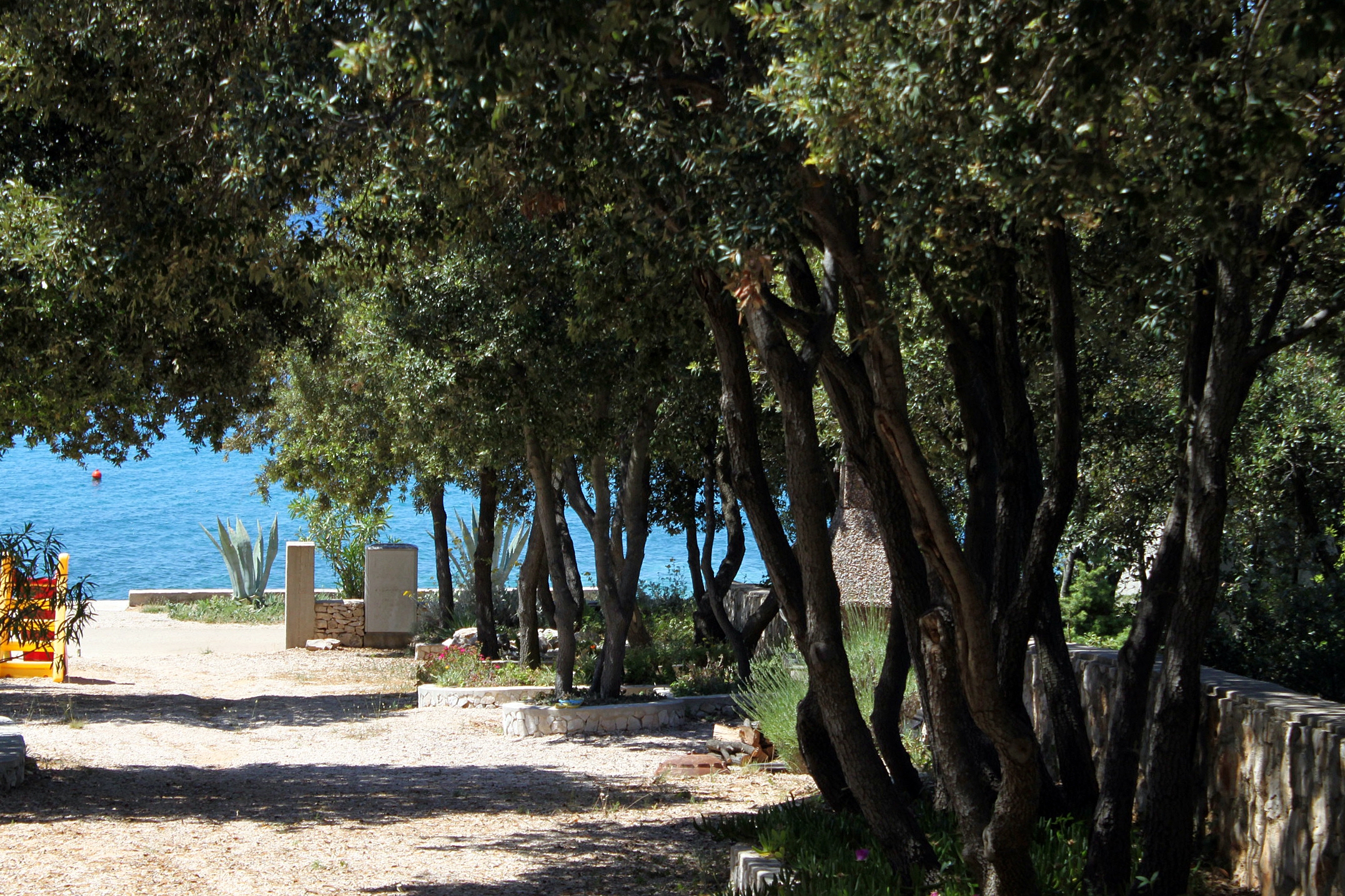 Top Pag Mandre Top Pag Mandre