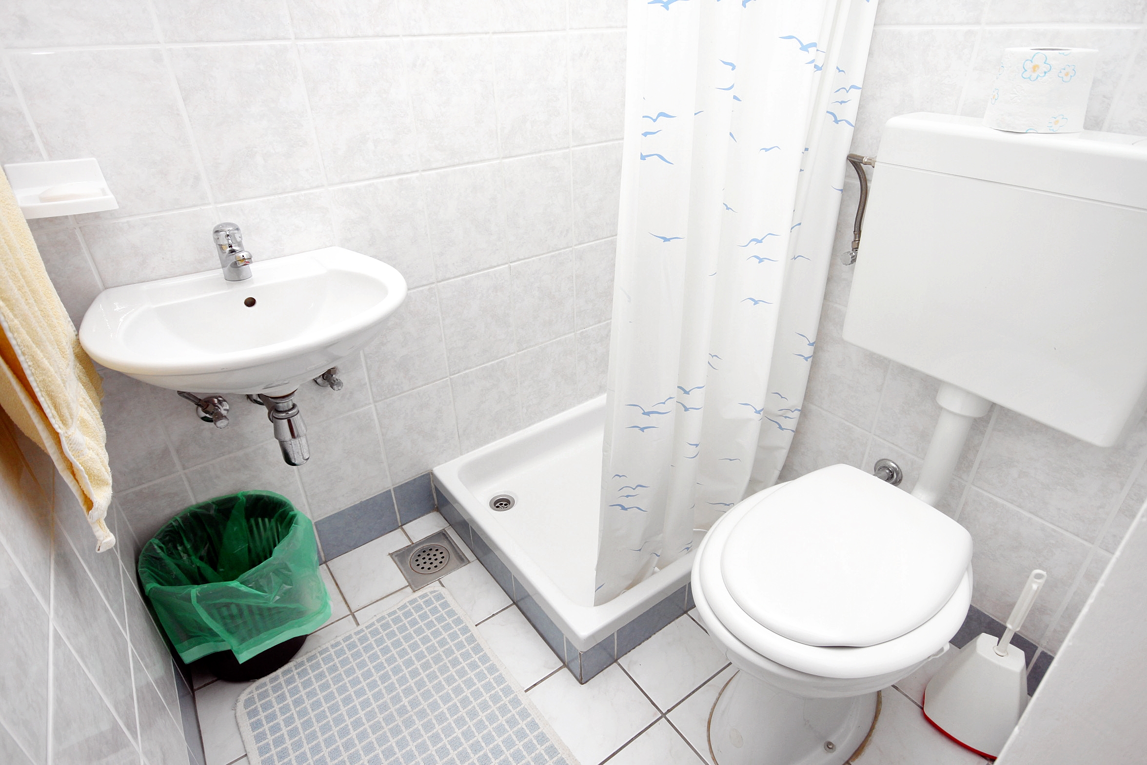 Top Pag Metajna Top Pag Metajna