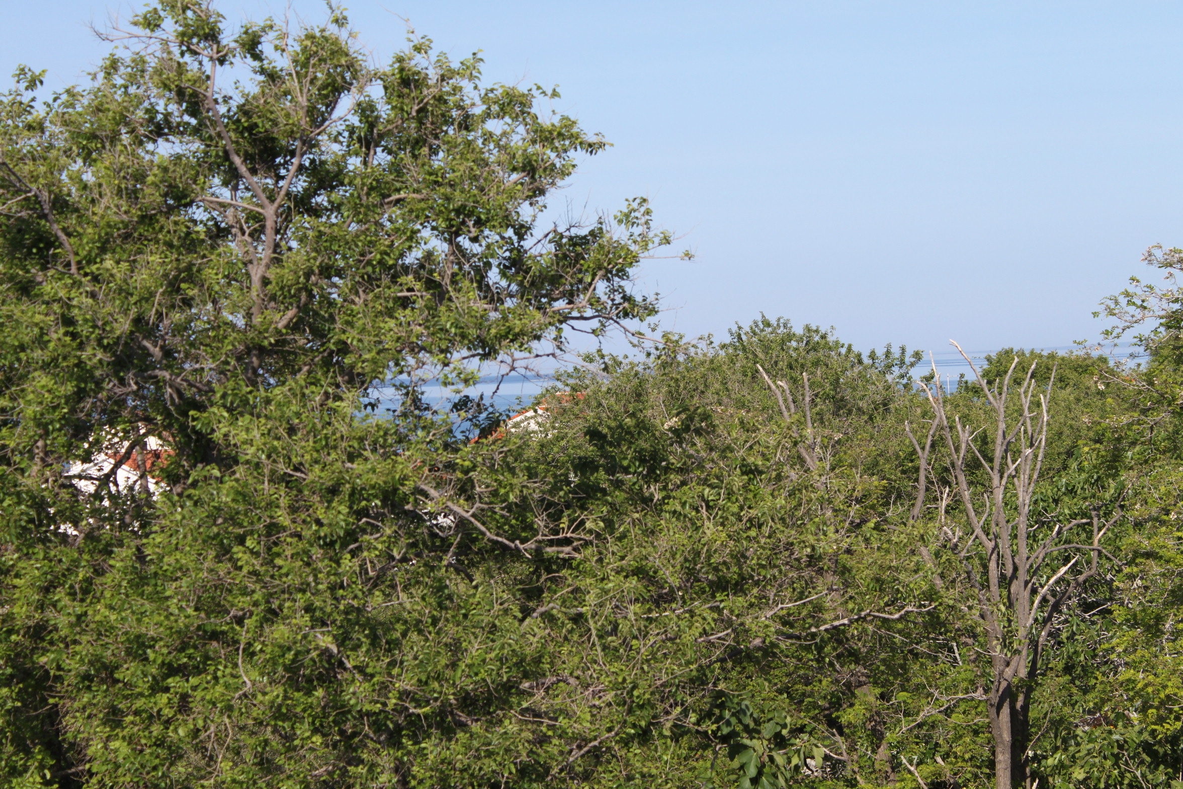 Comfortable and spacious apartment with terrace and sea view Povljana, Pag (A-6299-a)