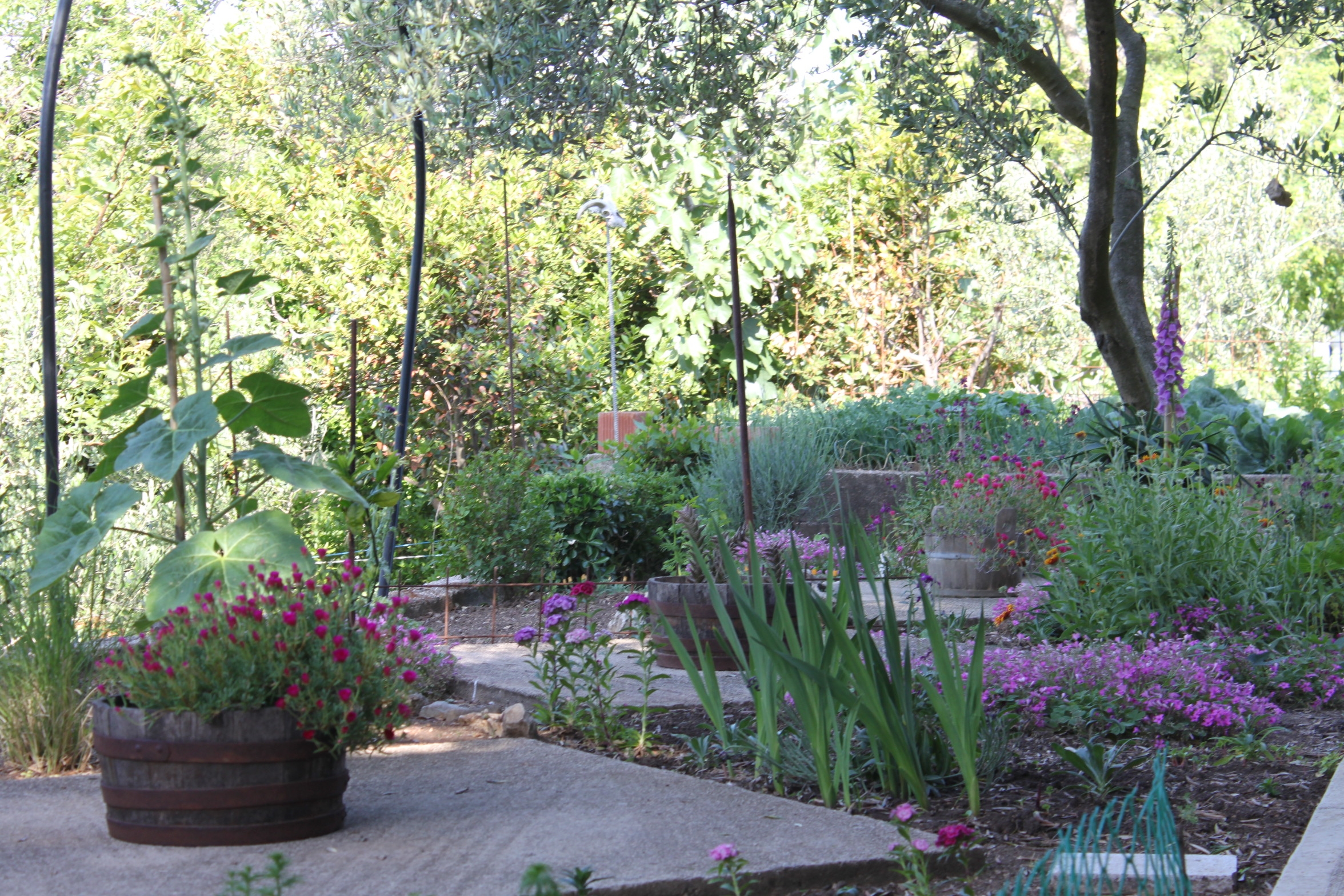 Comfortable and spacious apartment with terrace and sea view Povljana, Pag (A-6299-a) Comfortable and spacious apartment with terrace and sea view Povljana, Pag (A-6299-a)