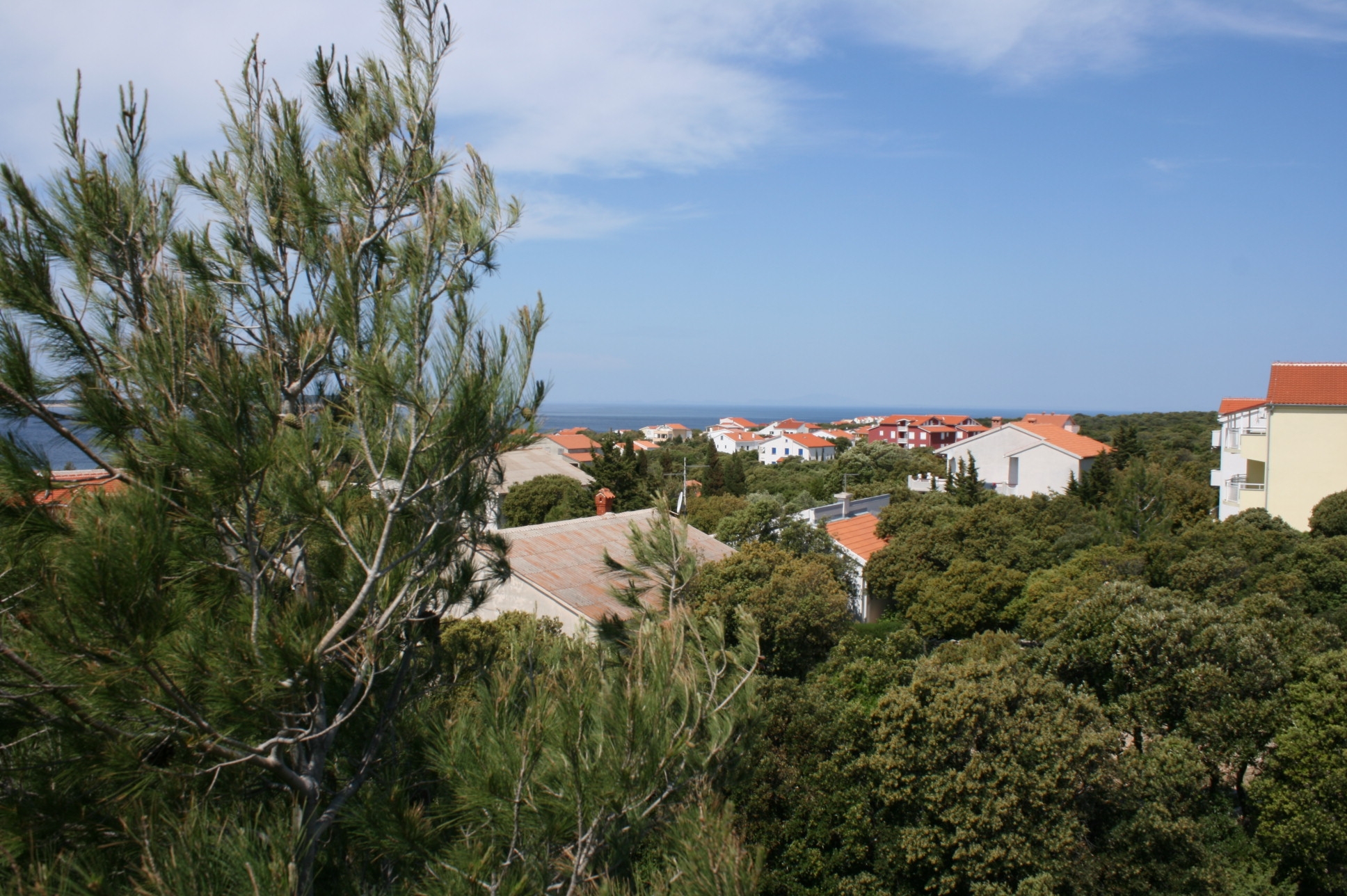 Studio flat with terrace and sea view Mandre, Pag  AS-a