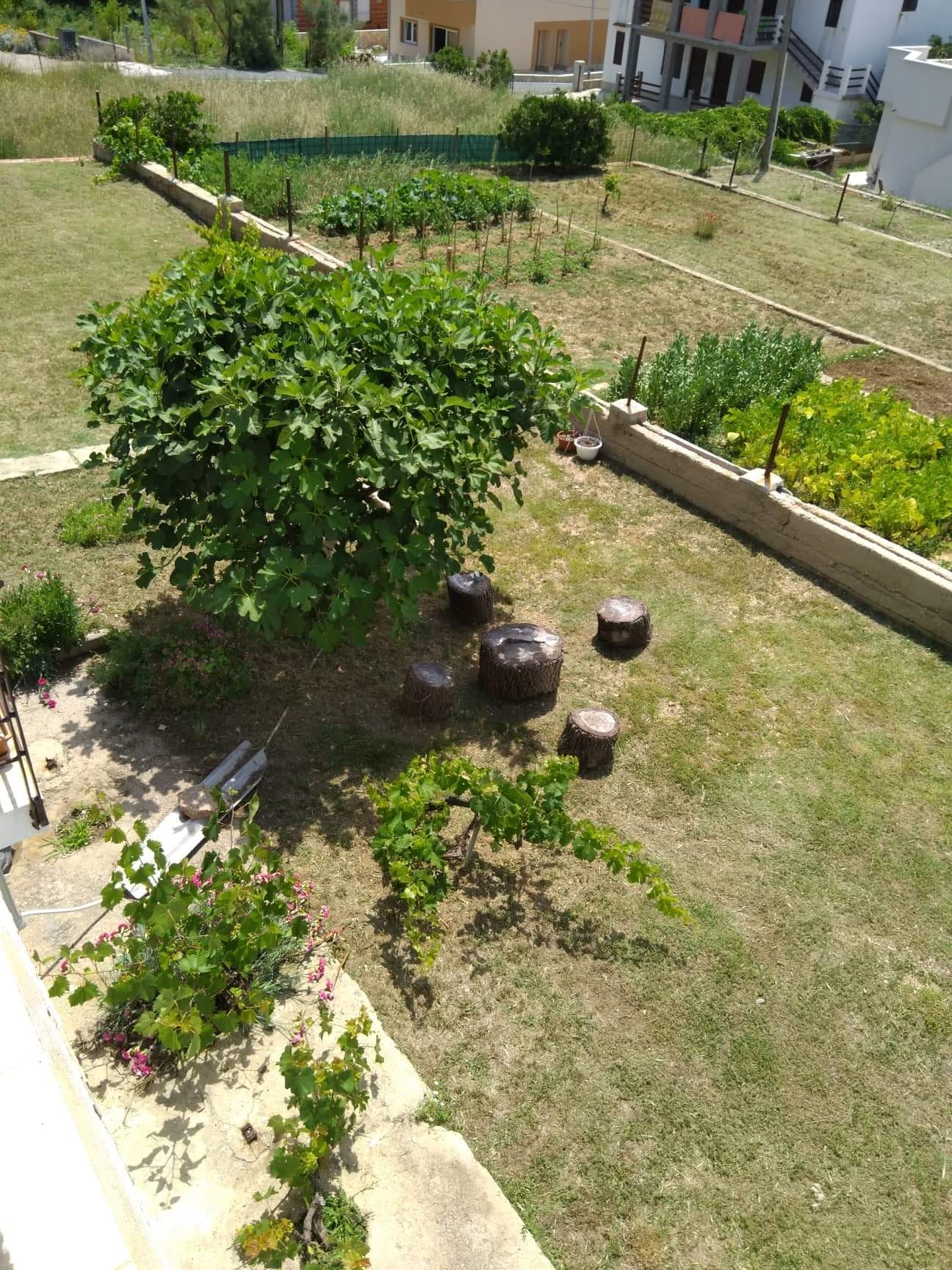 Four-bedroom apartment with terrace and sea view Pag  A-a