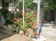 Viganj, Pelješac, Двор 633 - Апартаменты вблизи моря с галечным пляжем.