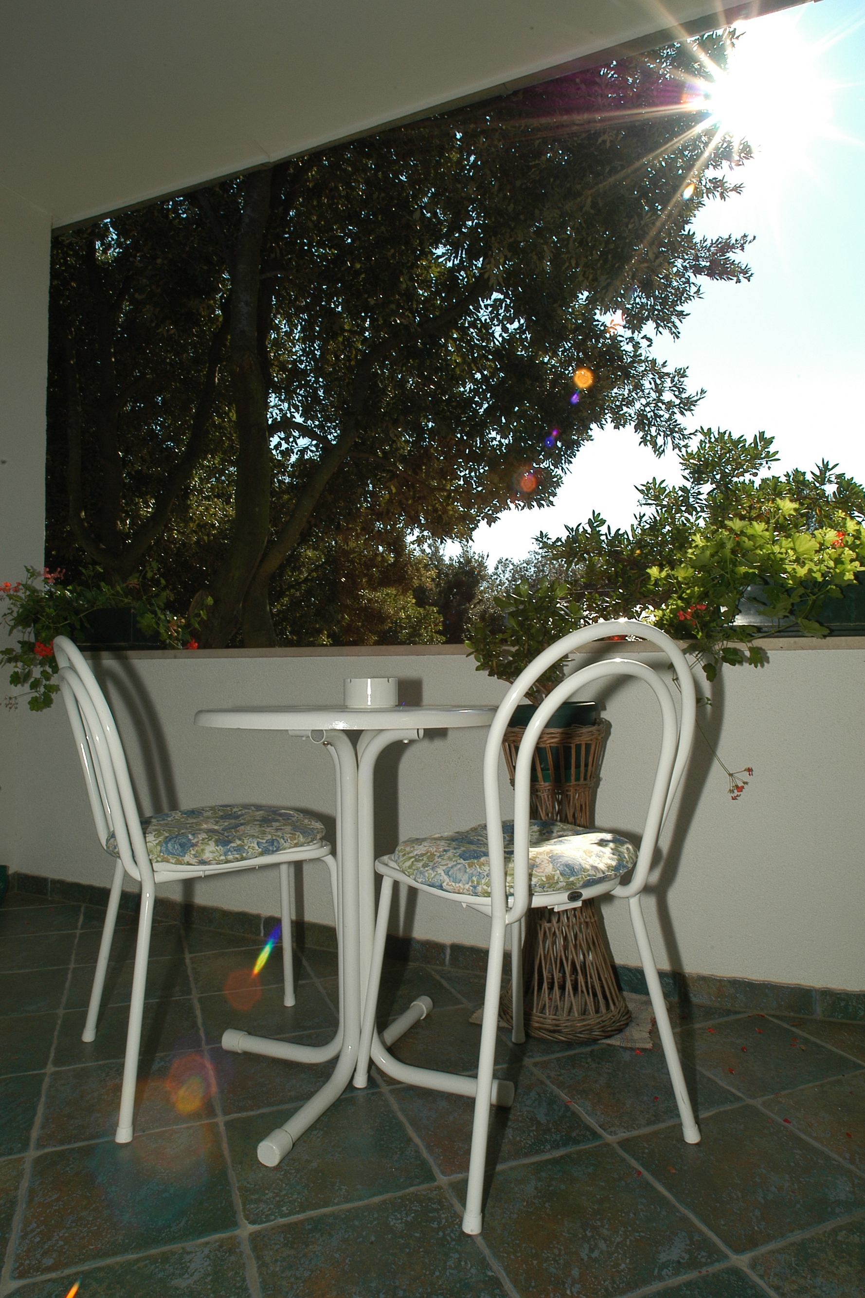 Top Zadar Petrčane Top Zadar Petrčane