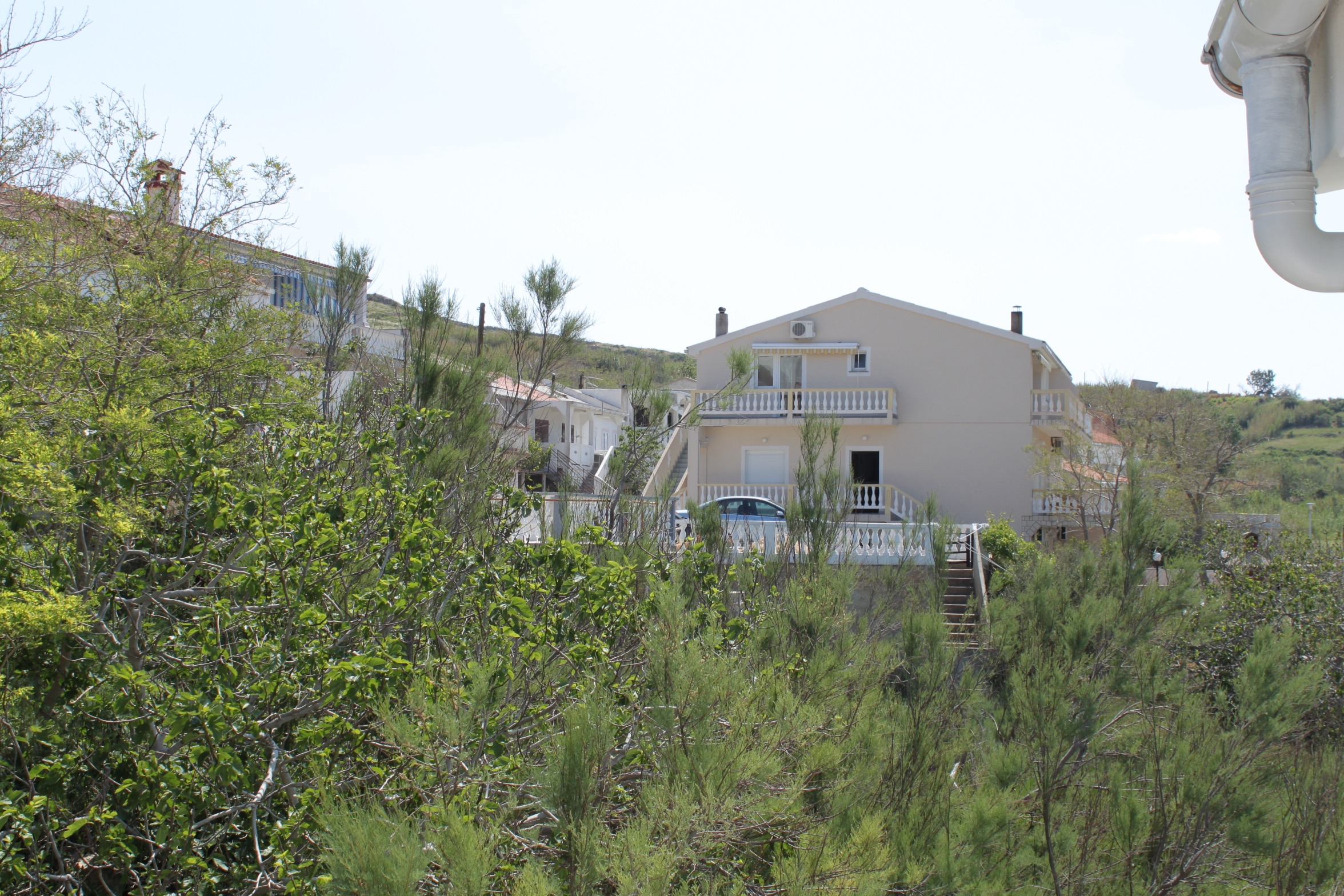 Top Pag Metajna Top Pag Metajna