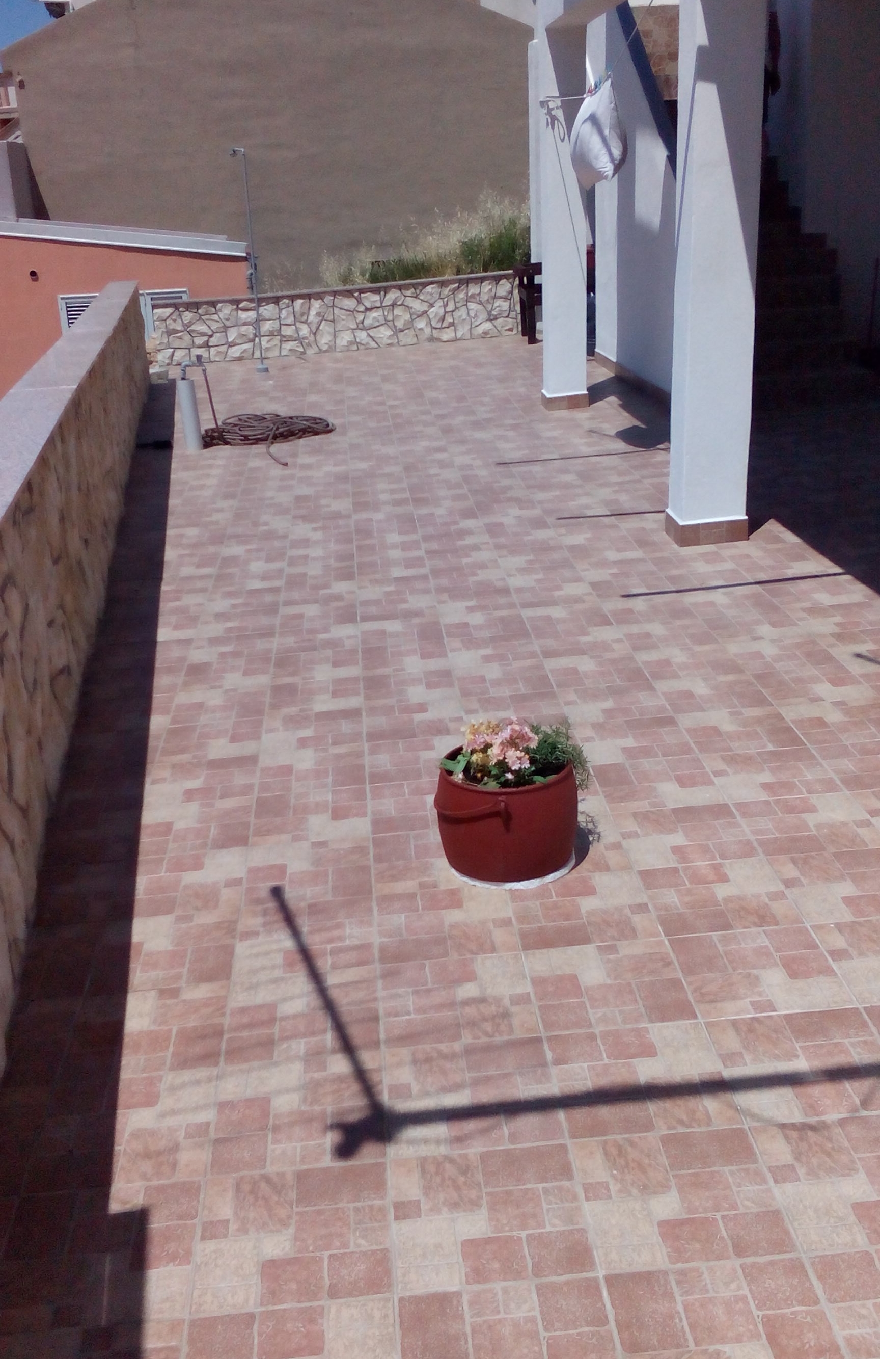 Top Pag Metajna Top Pag Metajna