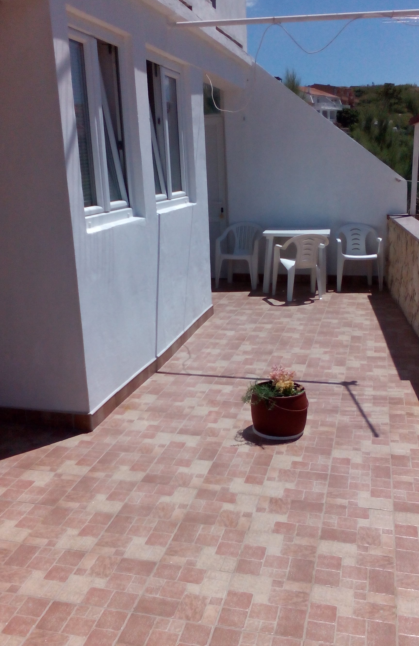 Top Pag Metajna Top Pag Metajna