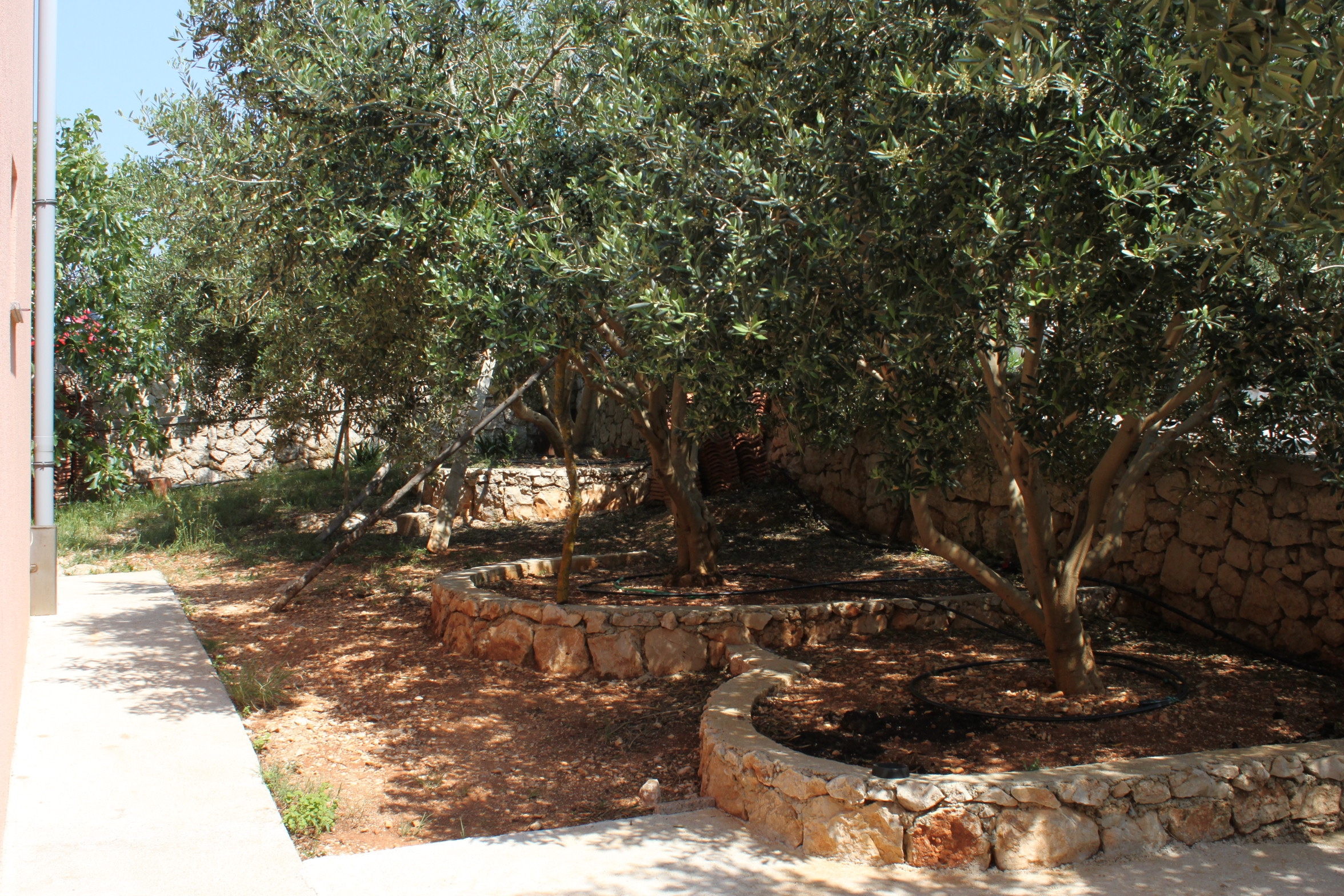 Top Pag Novalja Top Pag Novalja