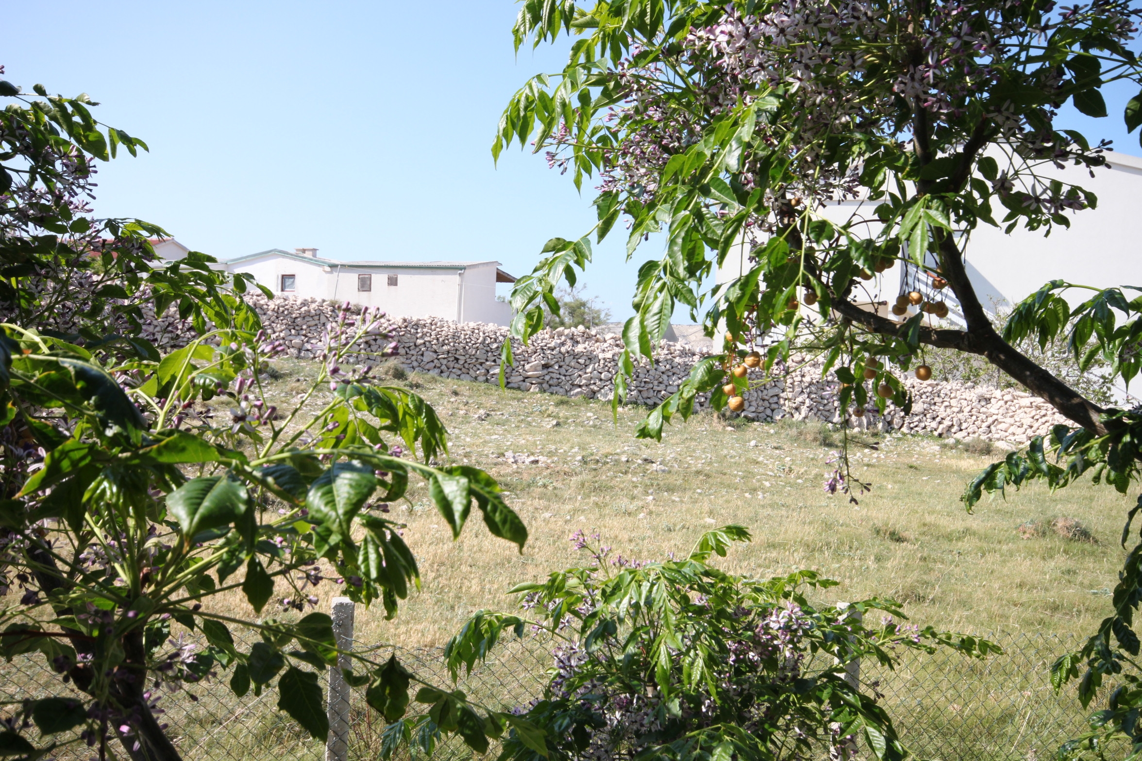 Top Pag Kustići Top Pag Kustići