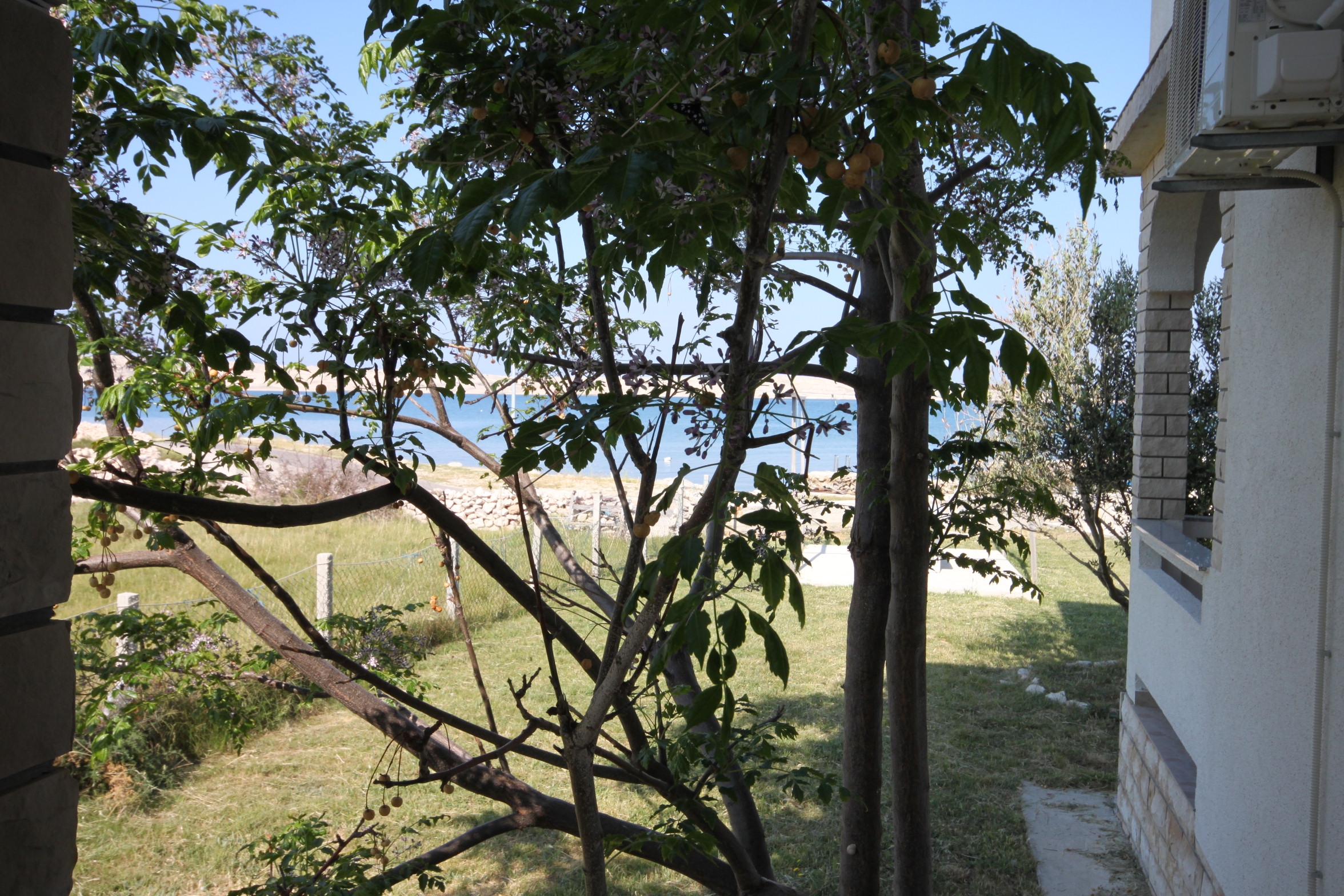 Top Pag Kustići Top Pag Kustići