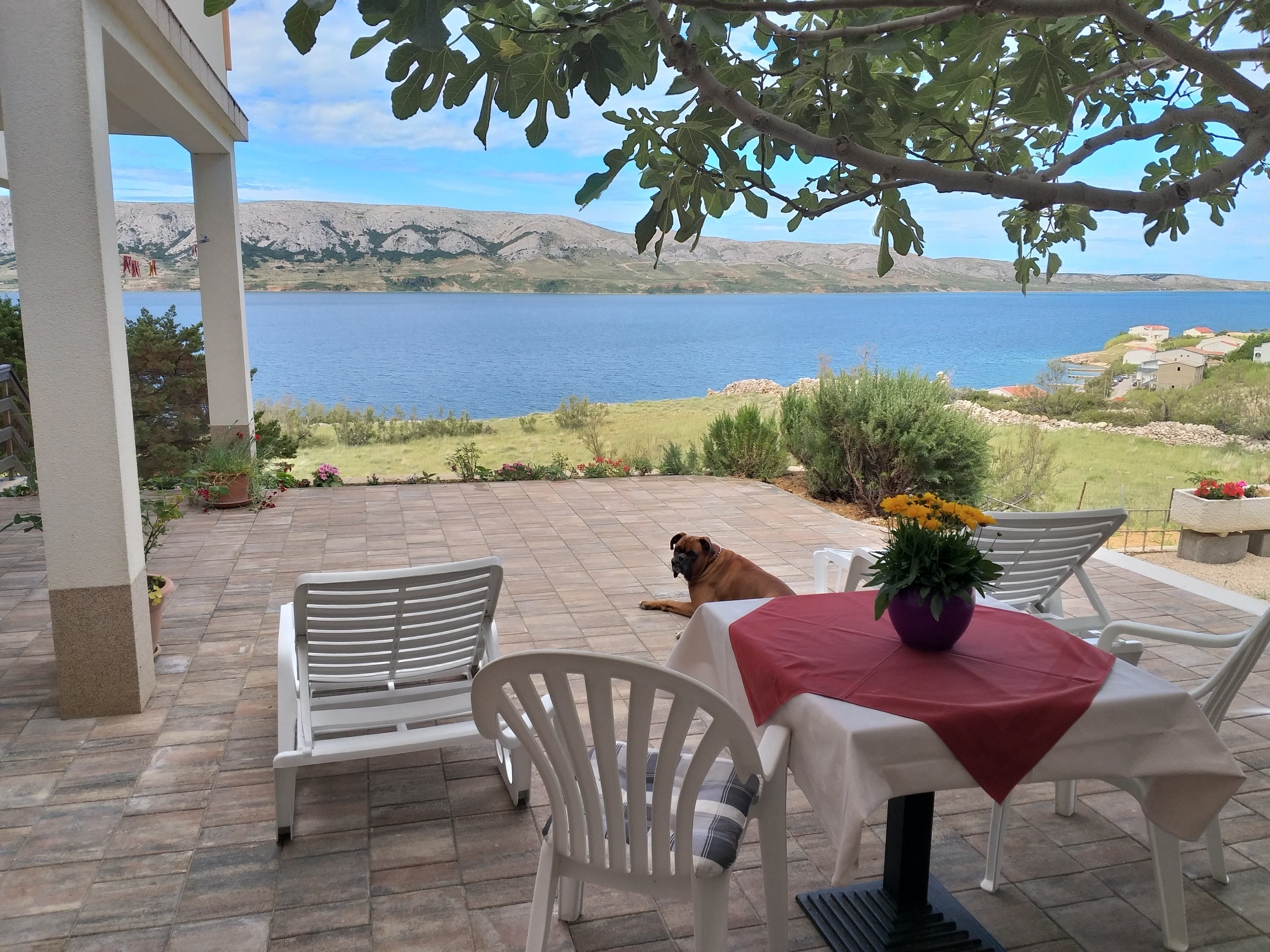 One bedroom apartment with terrace and sea view Metajna, Pag  A-d
