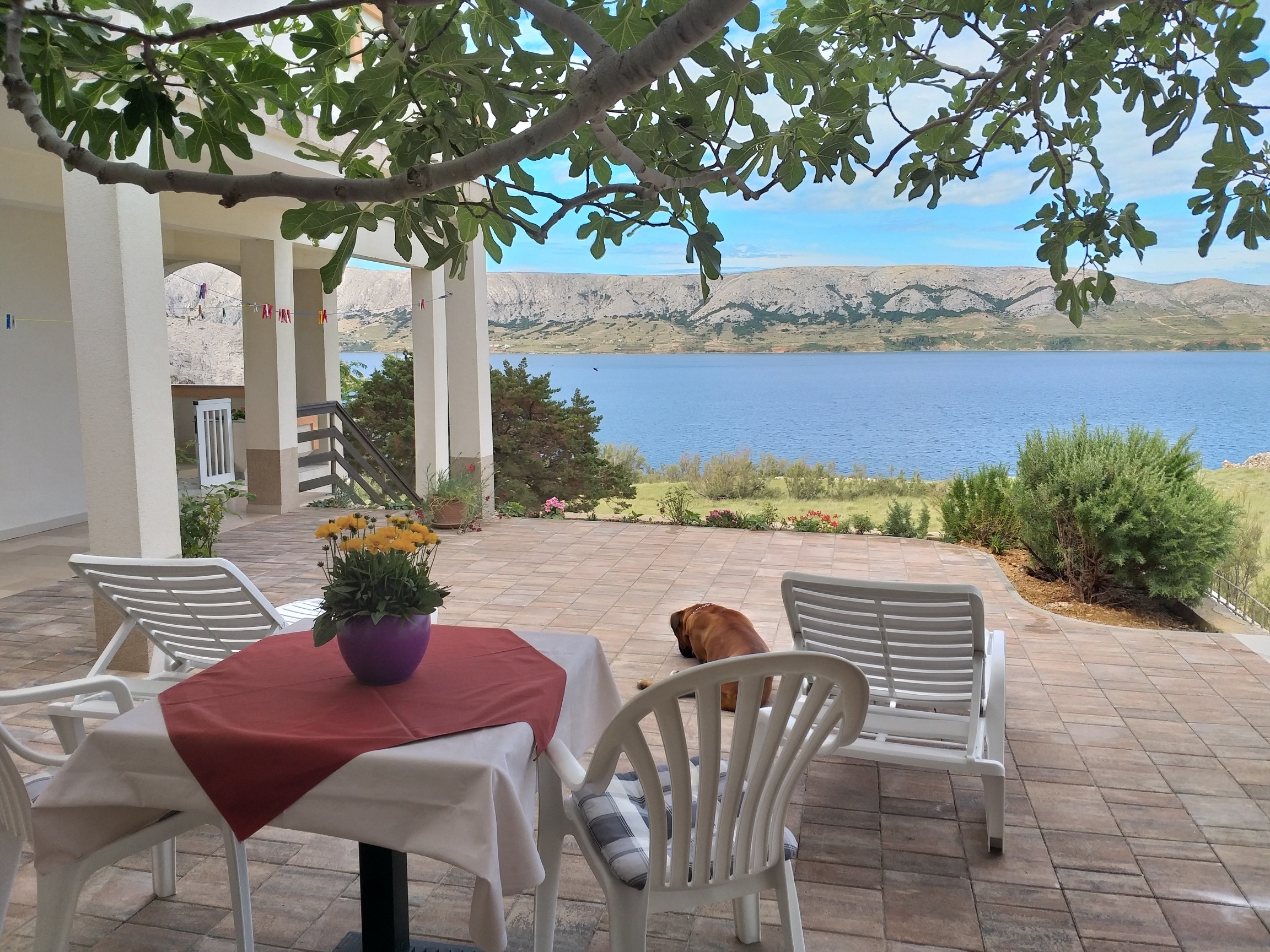 One bedroom apartment with terrace and sea view Metajna, Pag  A-d