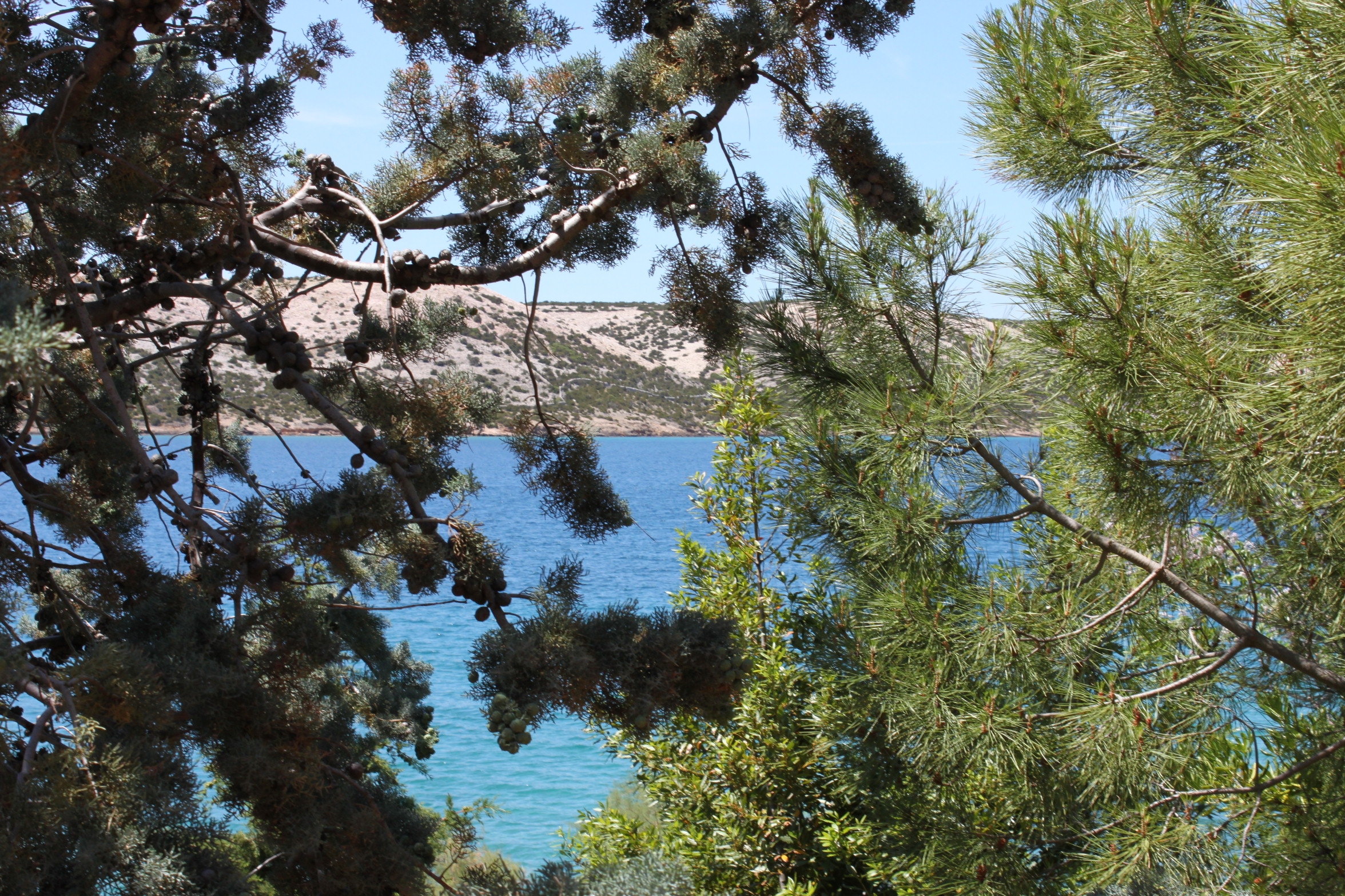 Three bedroom apartment near beach Stara Novalja, Pag  A-a